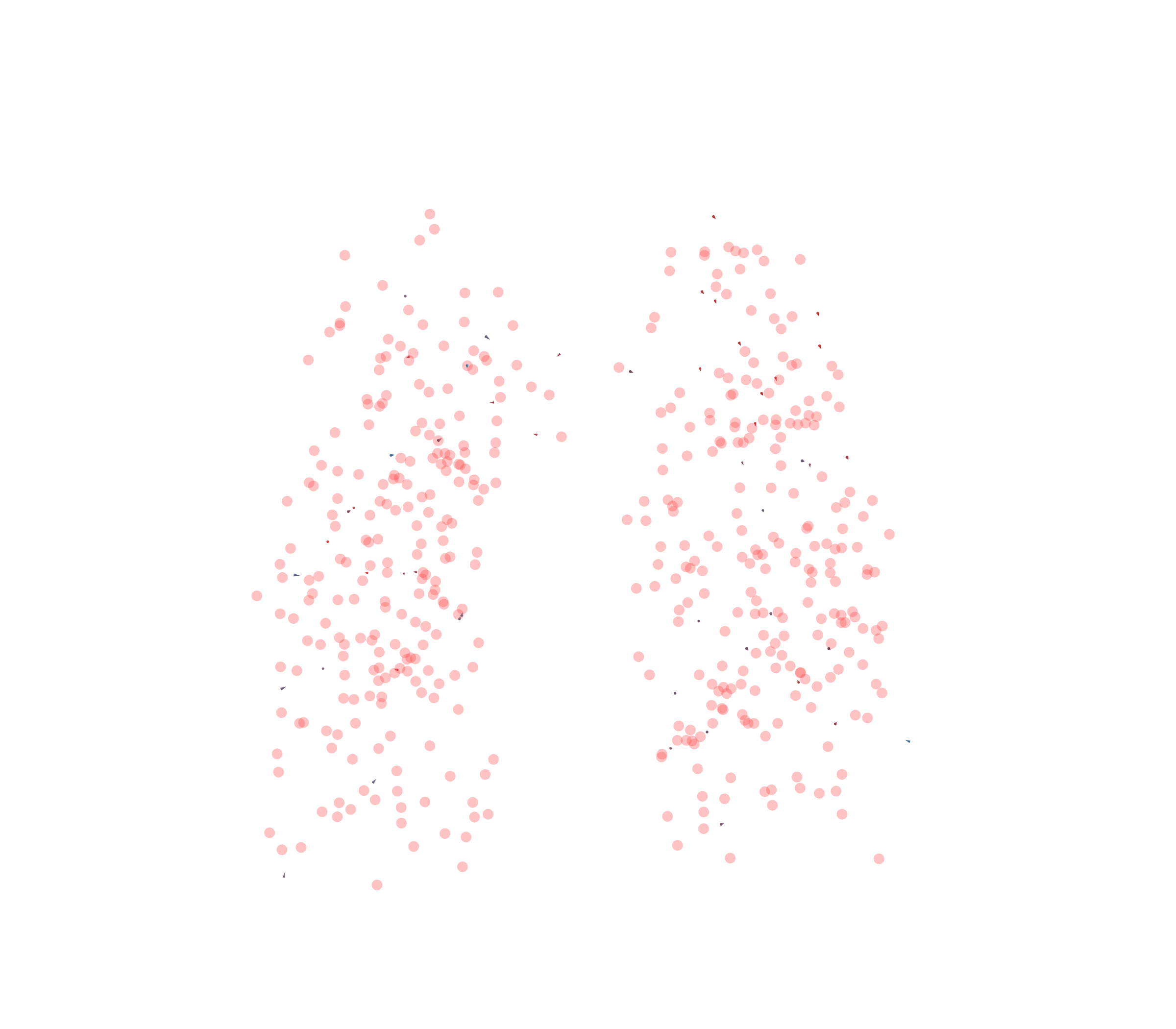 Displacement Vectors - Front View