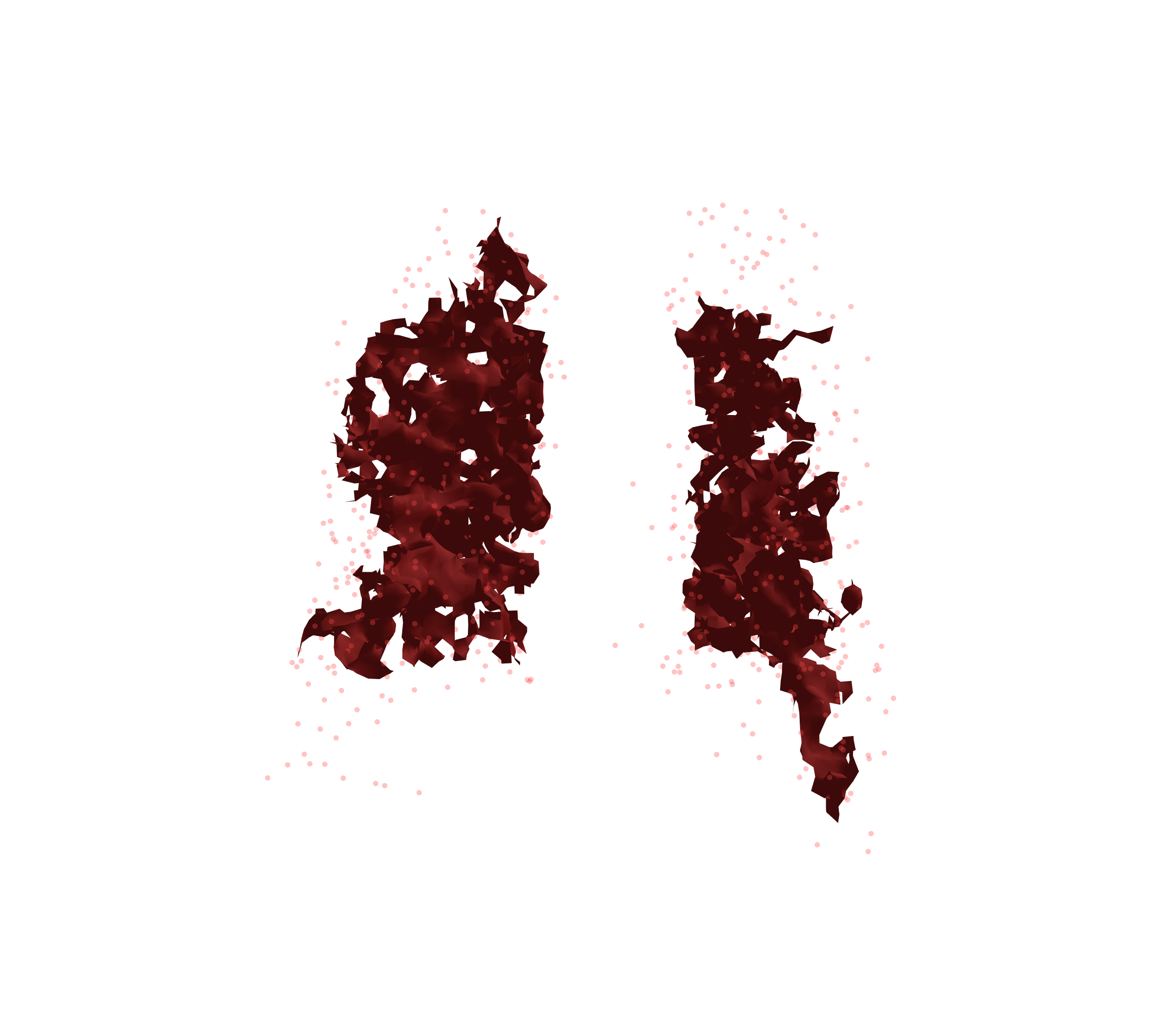 Combined Visualization (Expiration) - Back View