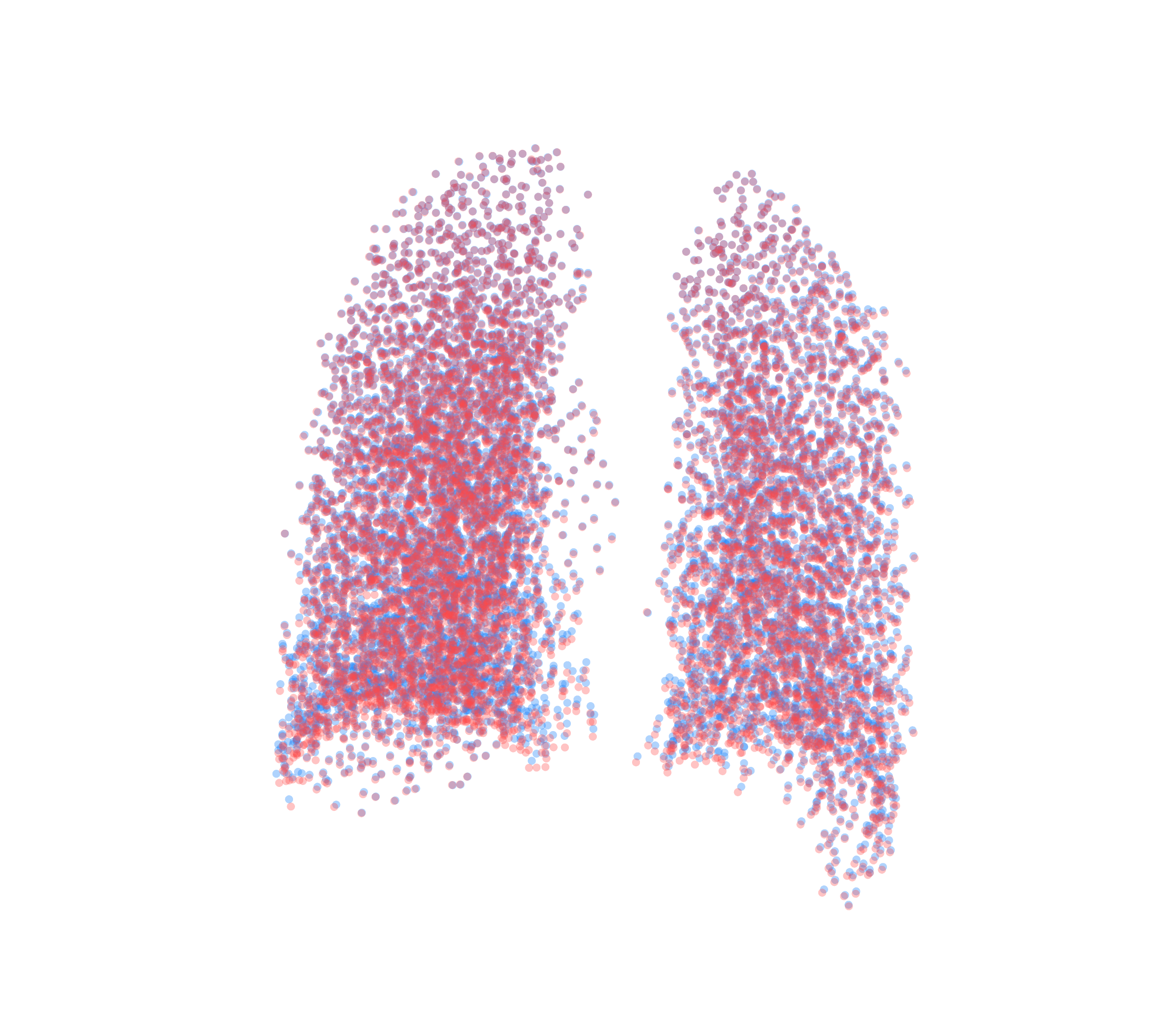 Point Cloud - Back View