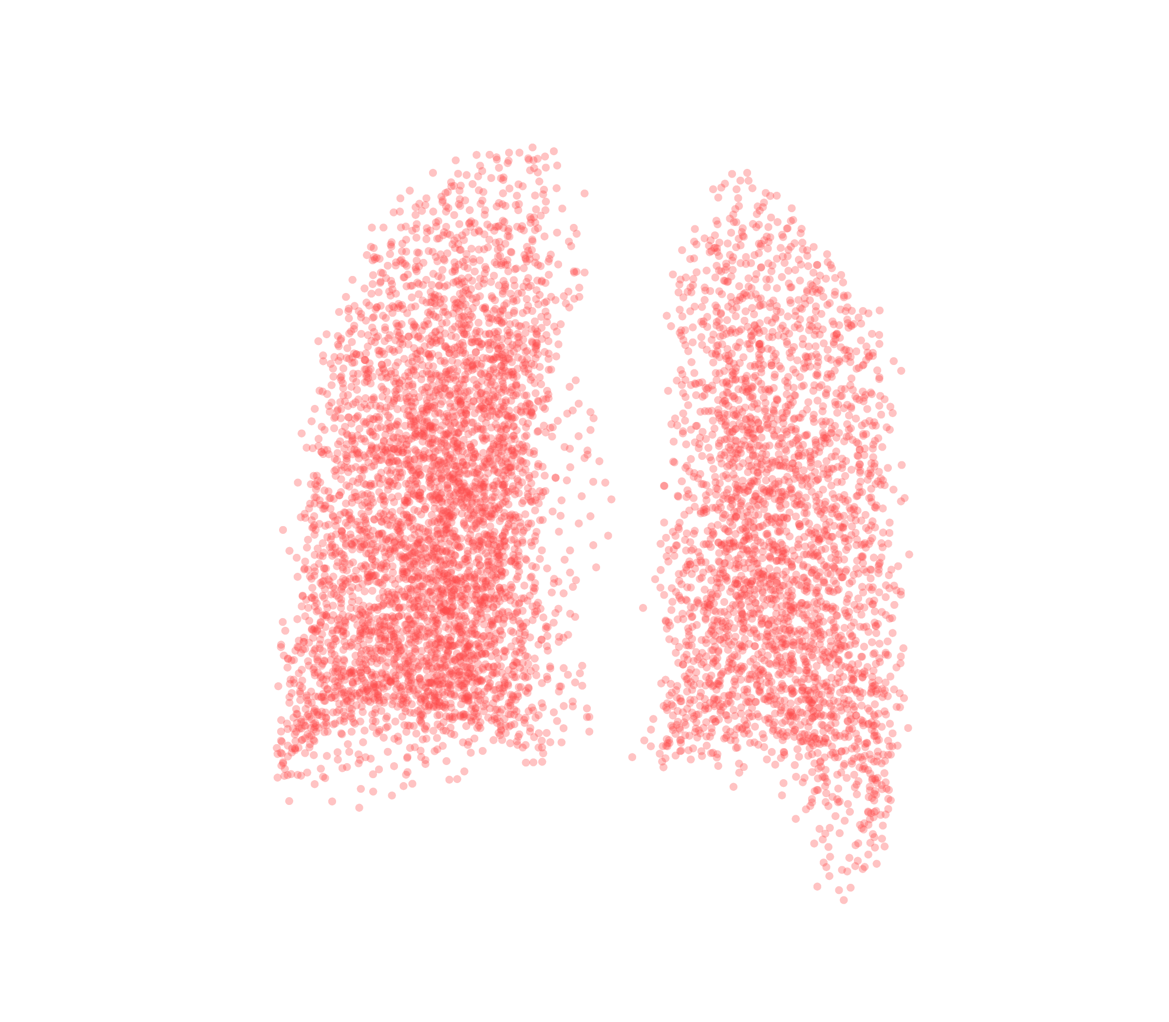 Point Cloud (Expiration) - Back View