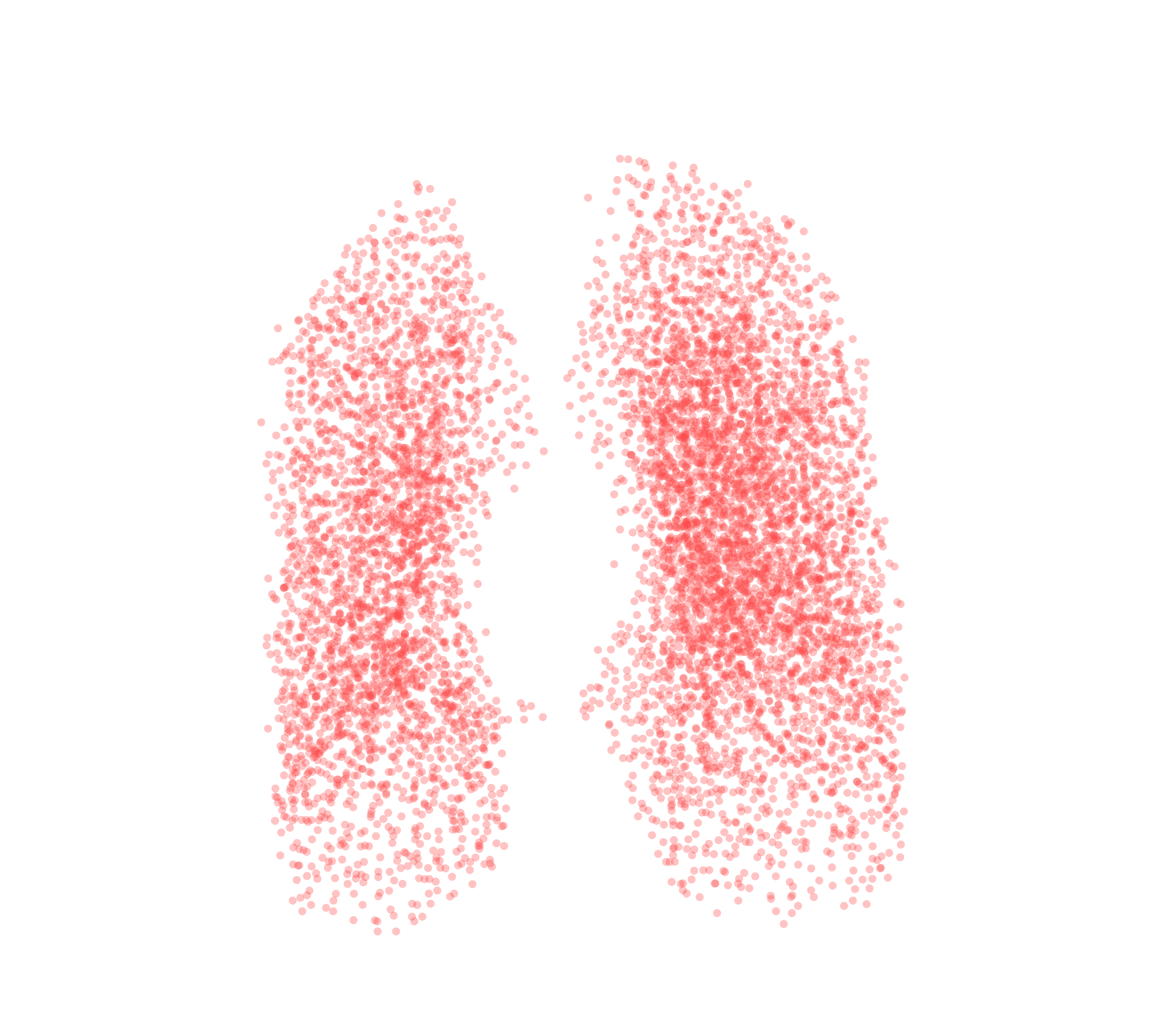 Point Cloud (Expiration) - Front View