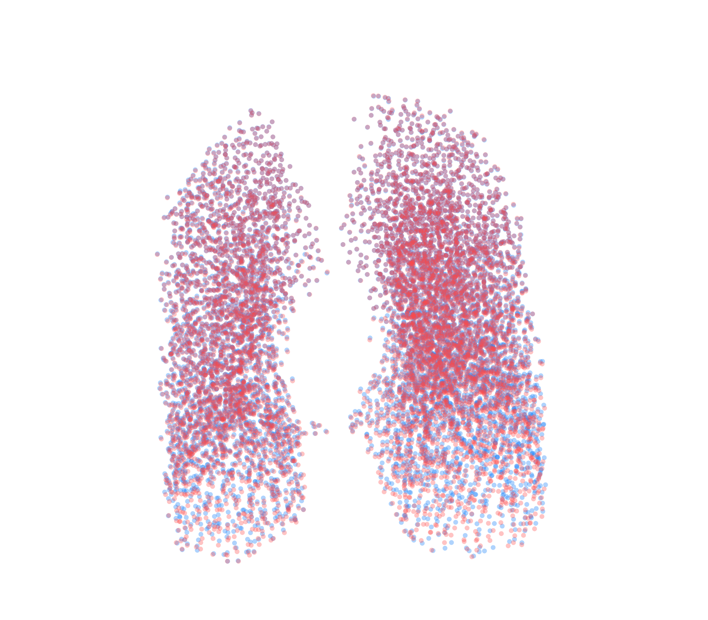 Point Cloud - Front View