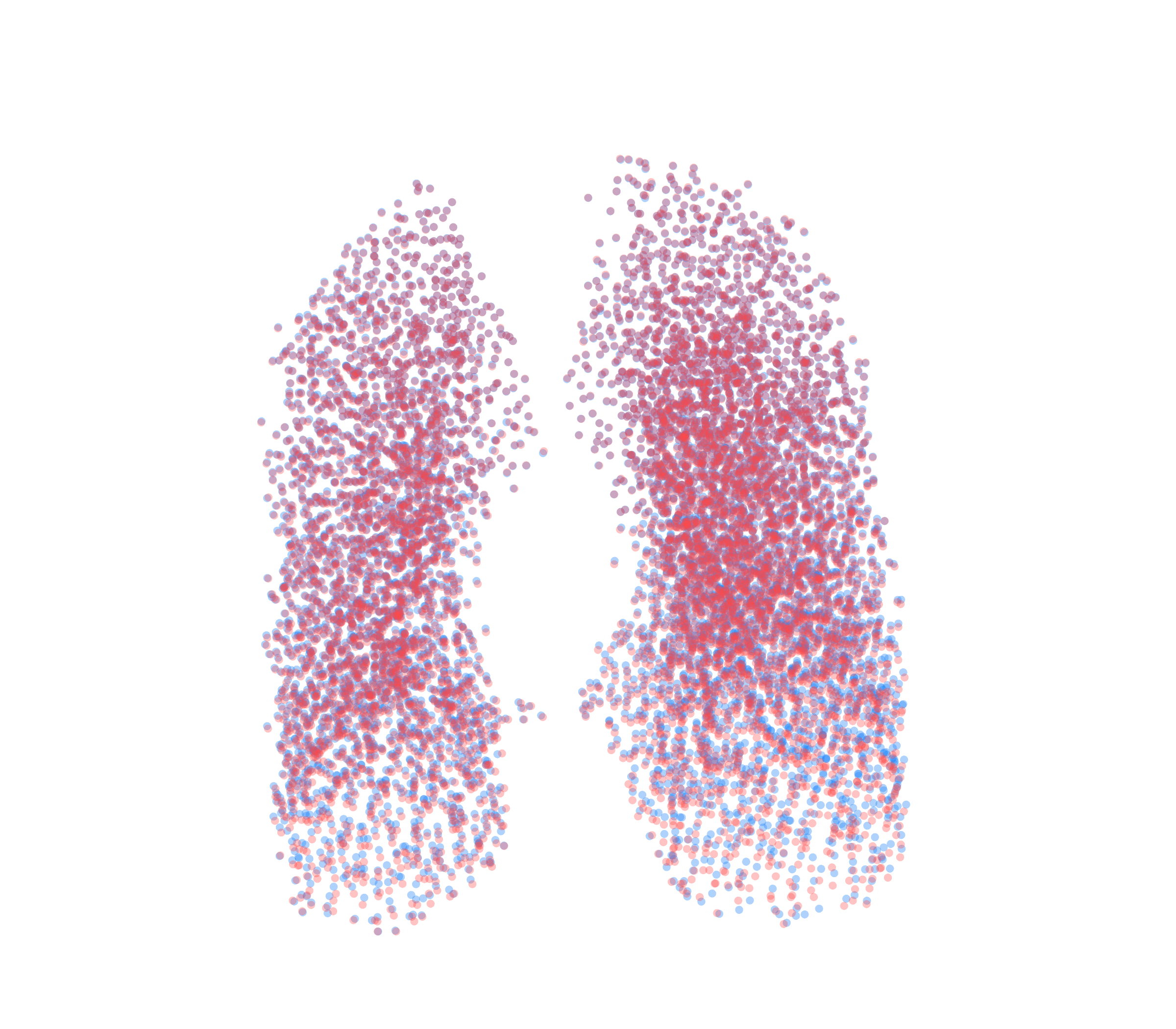 Point Cloud - Front View