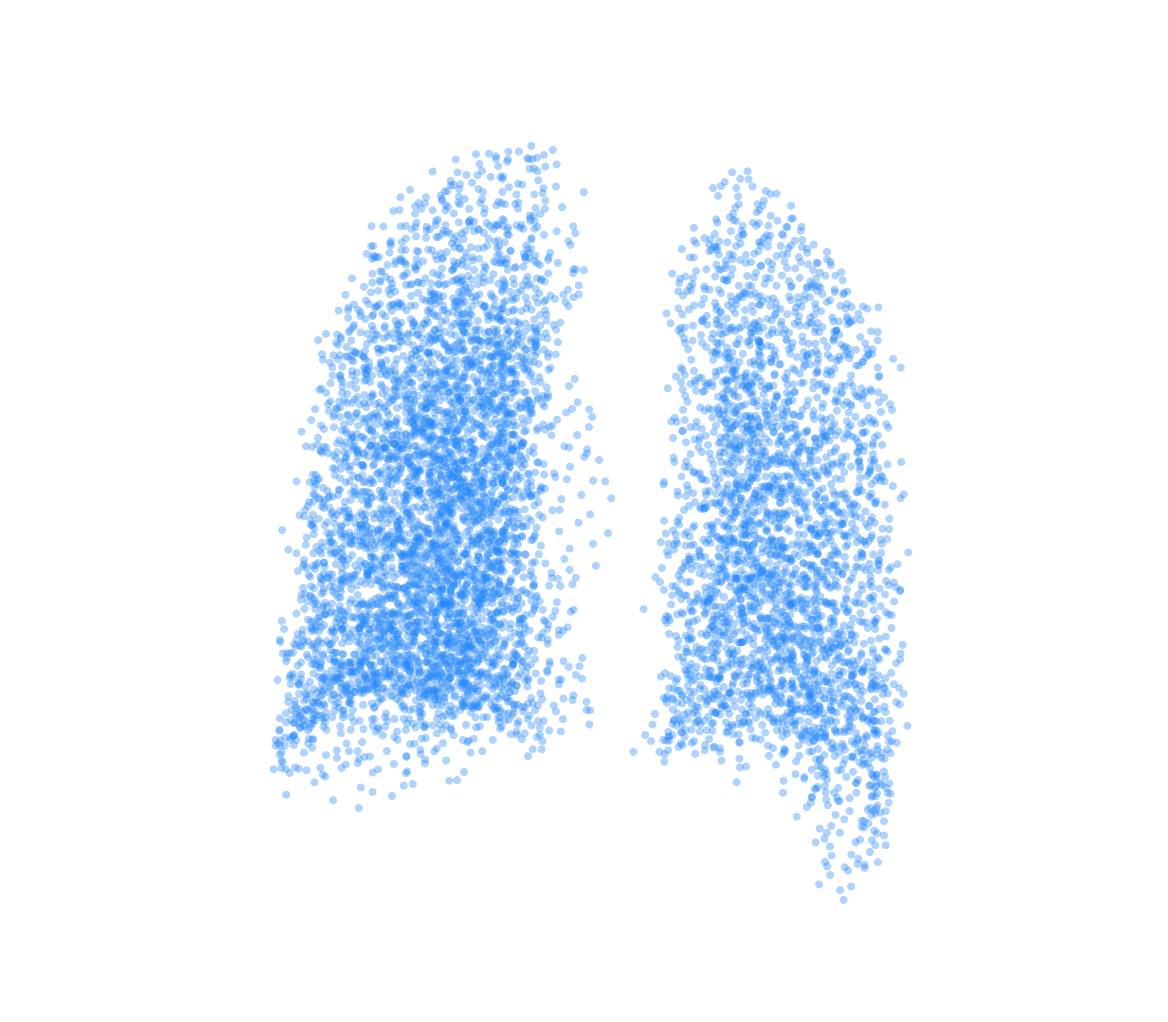 Point Cloud (Inspiration) - Back View