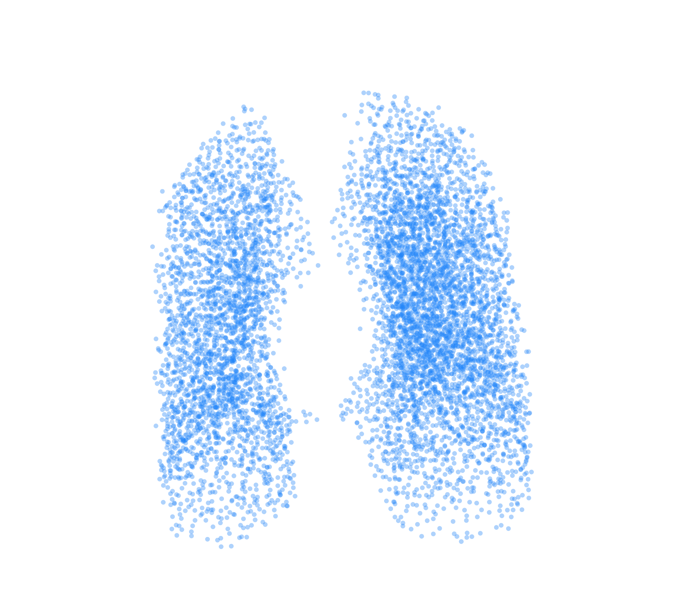 Point Cloud (Inspiration) - Front View