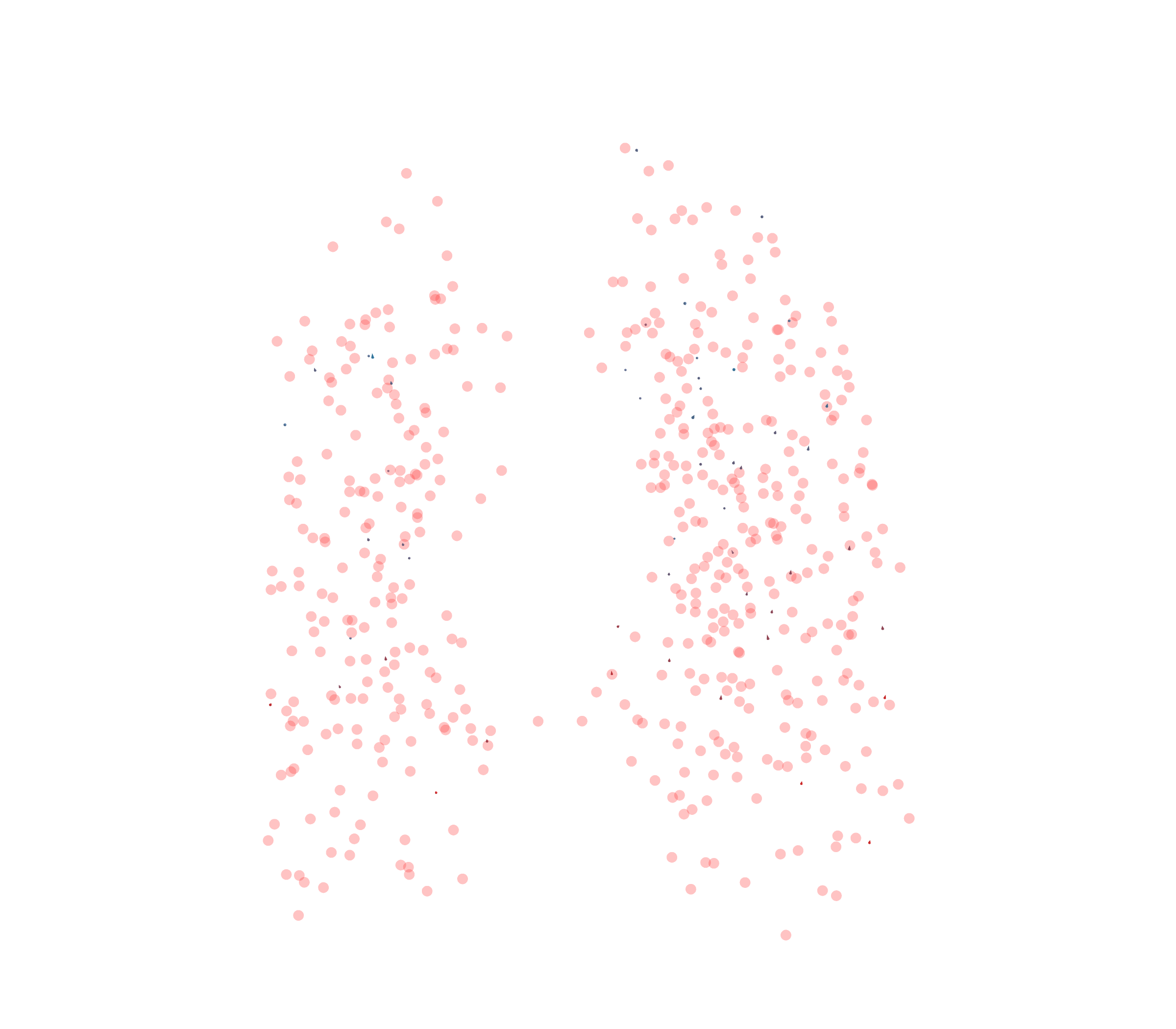 Displacement Vectors - Front View