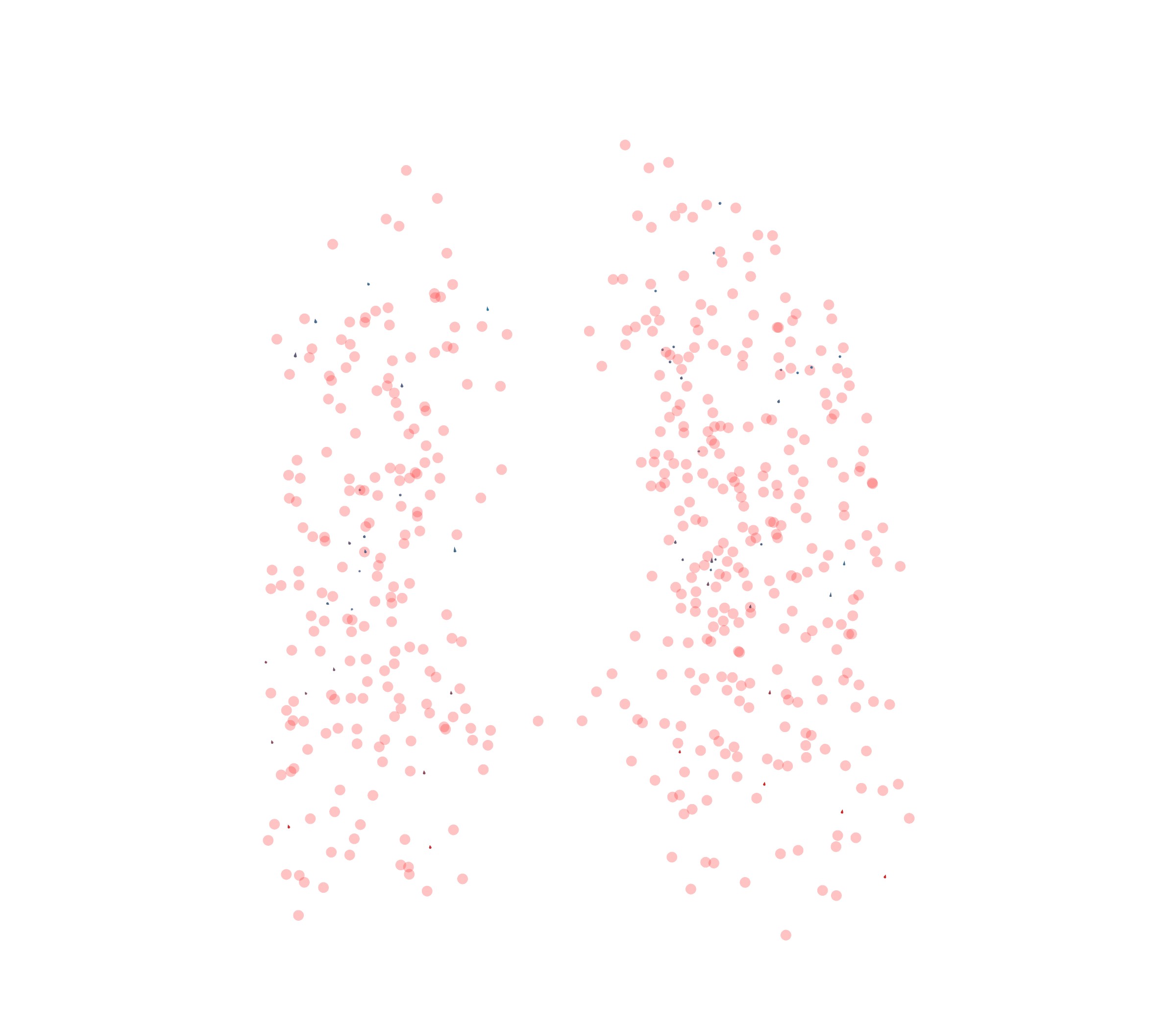 Displacement Vectors - Front View