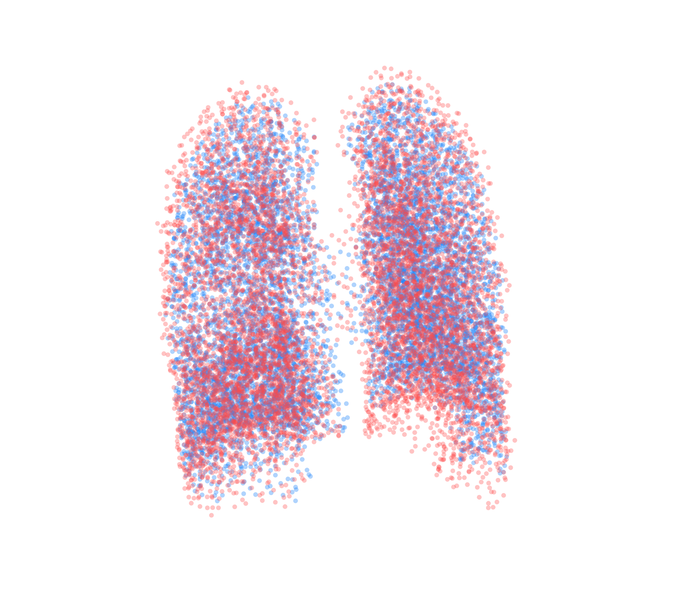 Point Cloud - Back View