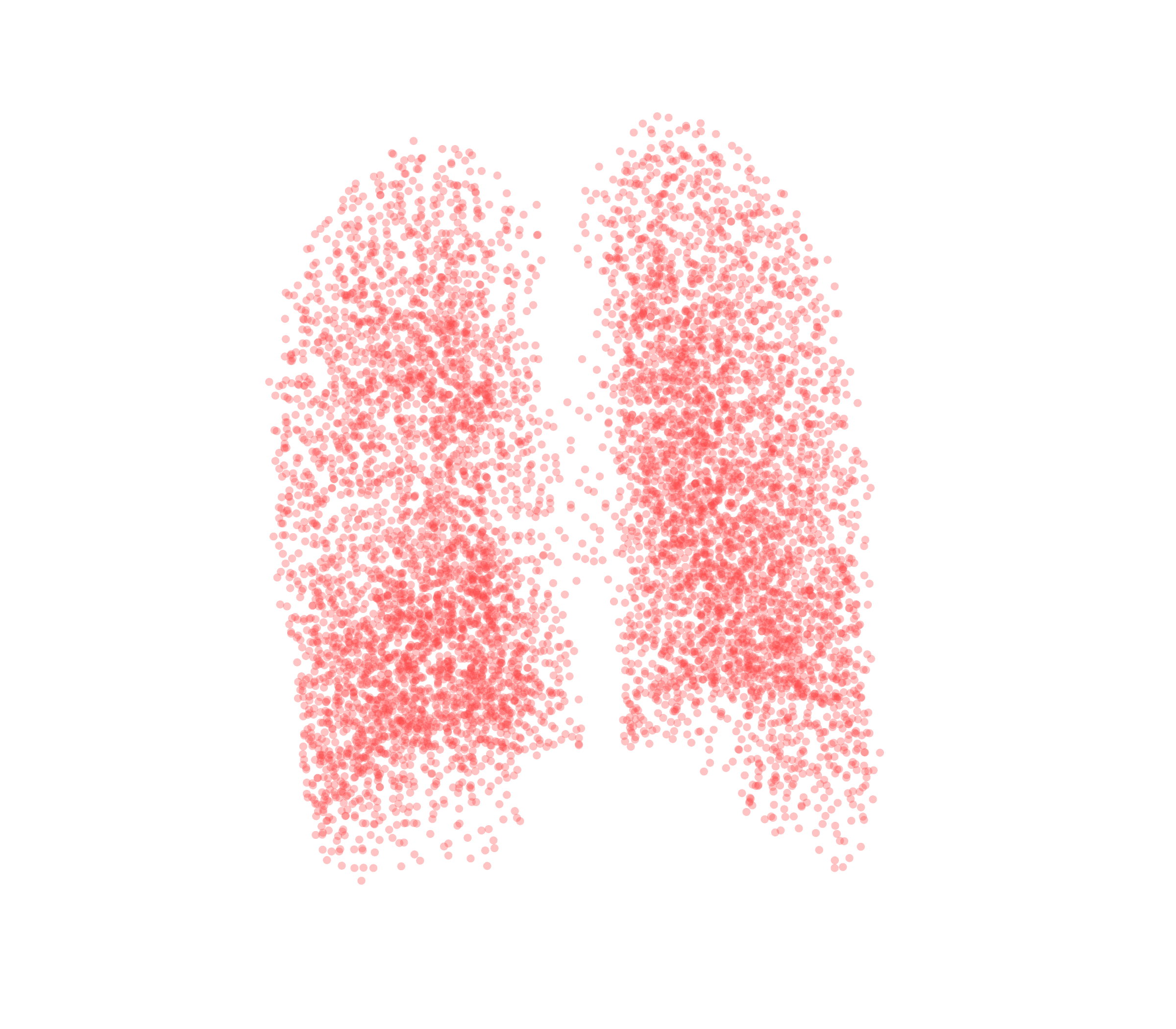 Point Cloud (Expiration) - Back View