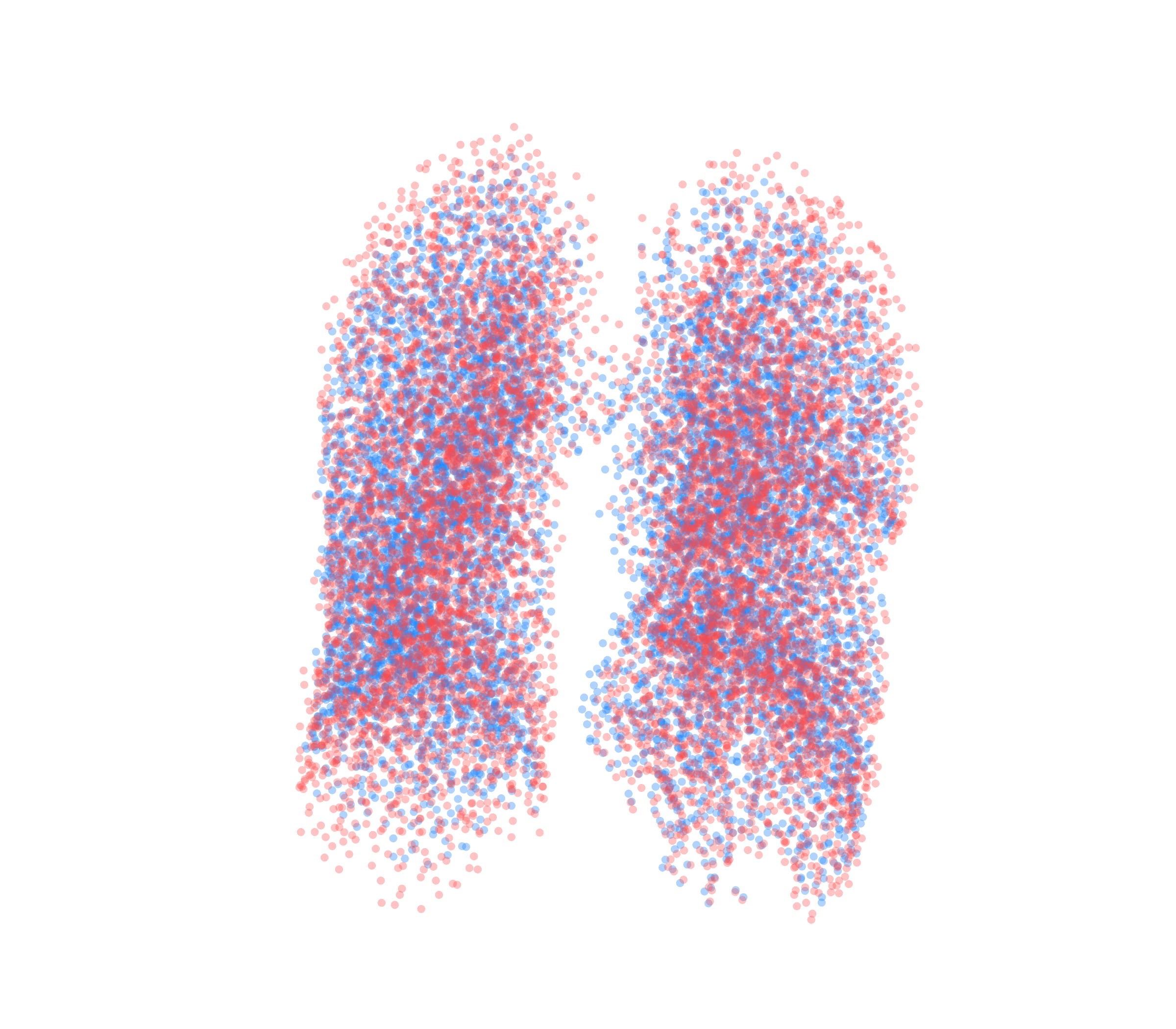 Point Cloud - Front View