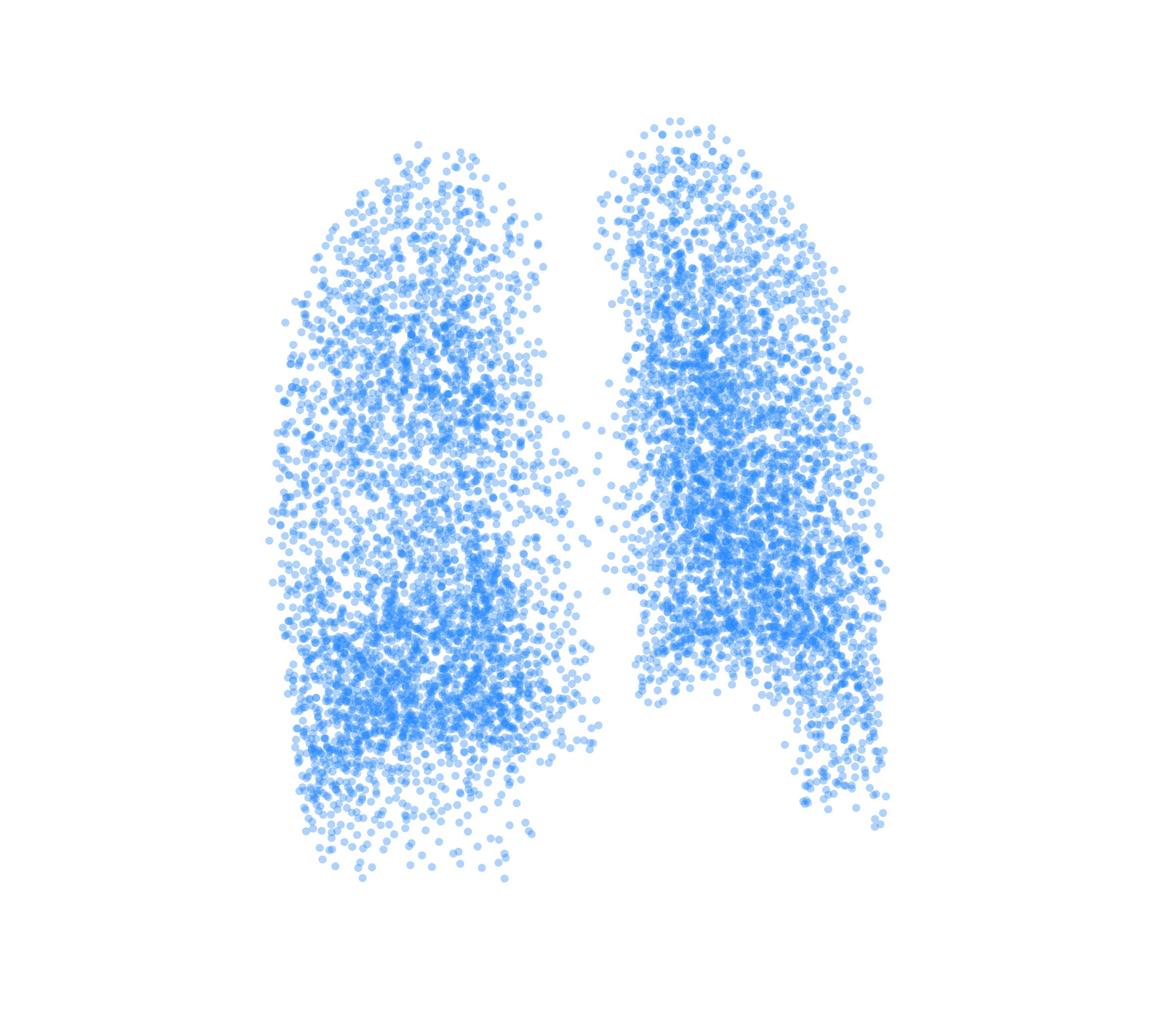 Point Cloud (Inspiration) - Back View