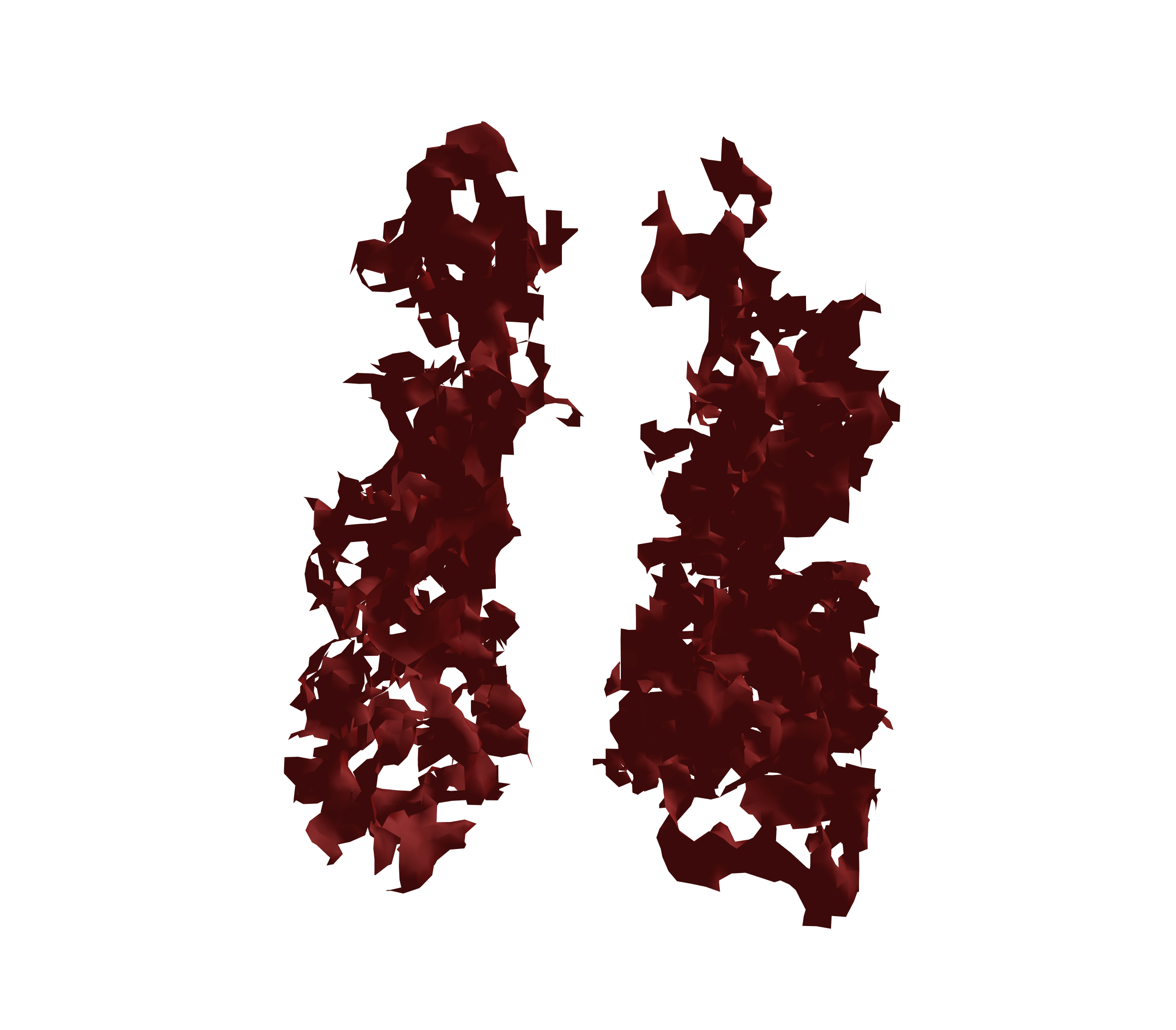 Surface Mesh (Expiration) - Front View