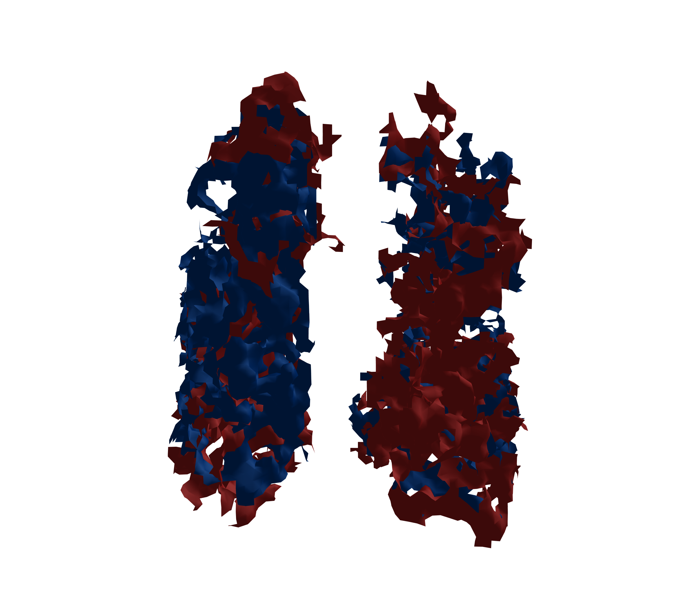 Surface Mesh - Front View