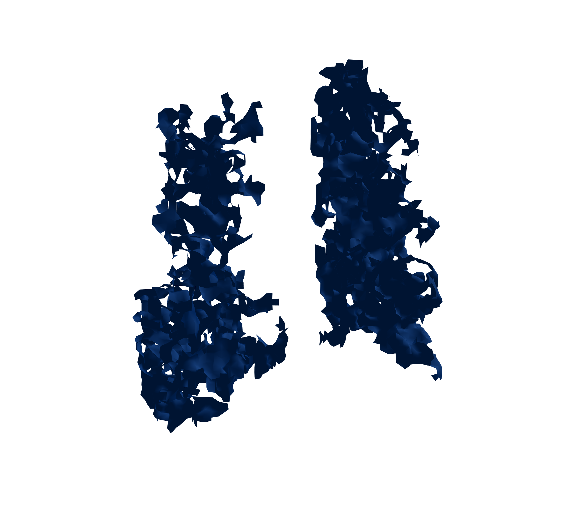 Surface Mesh (Inspiration) - Back View