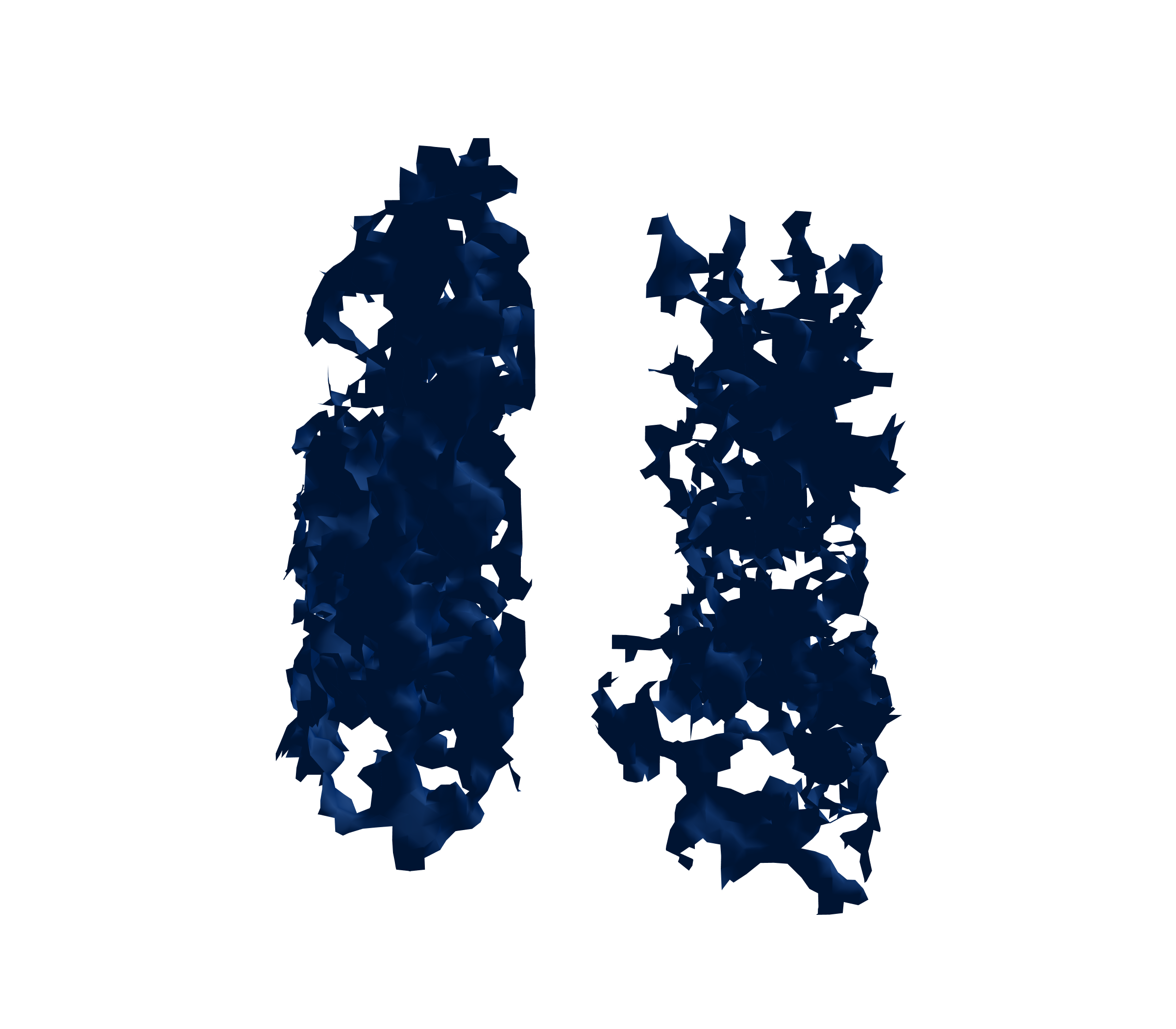 Surface Mesh (Inspiration) - Front View