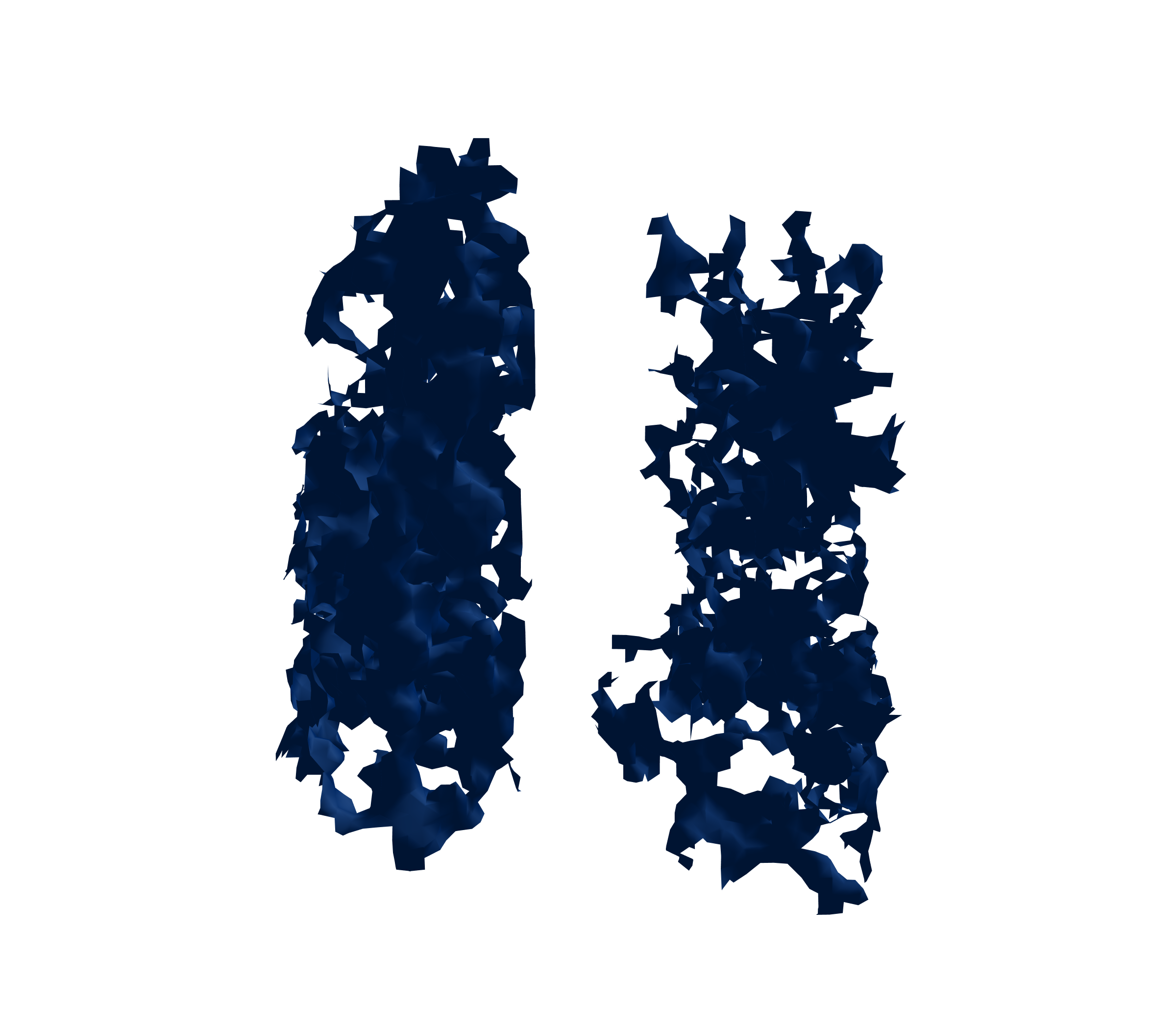 Surface Mesh (Inspiration) - Front View