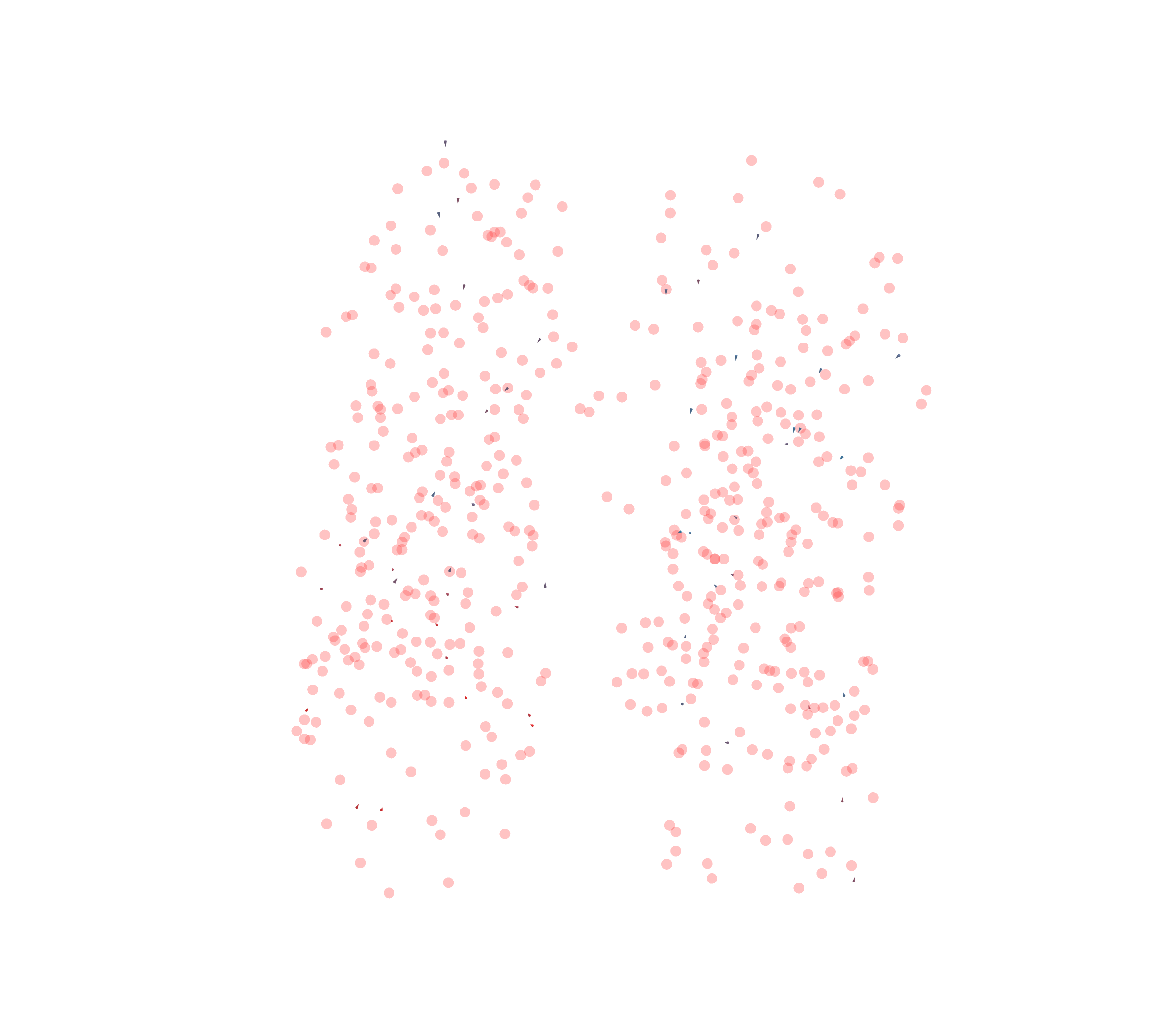 Displacement Vectors - Front View