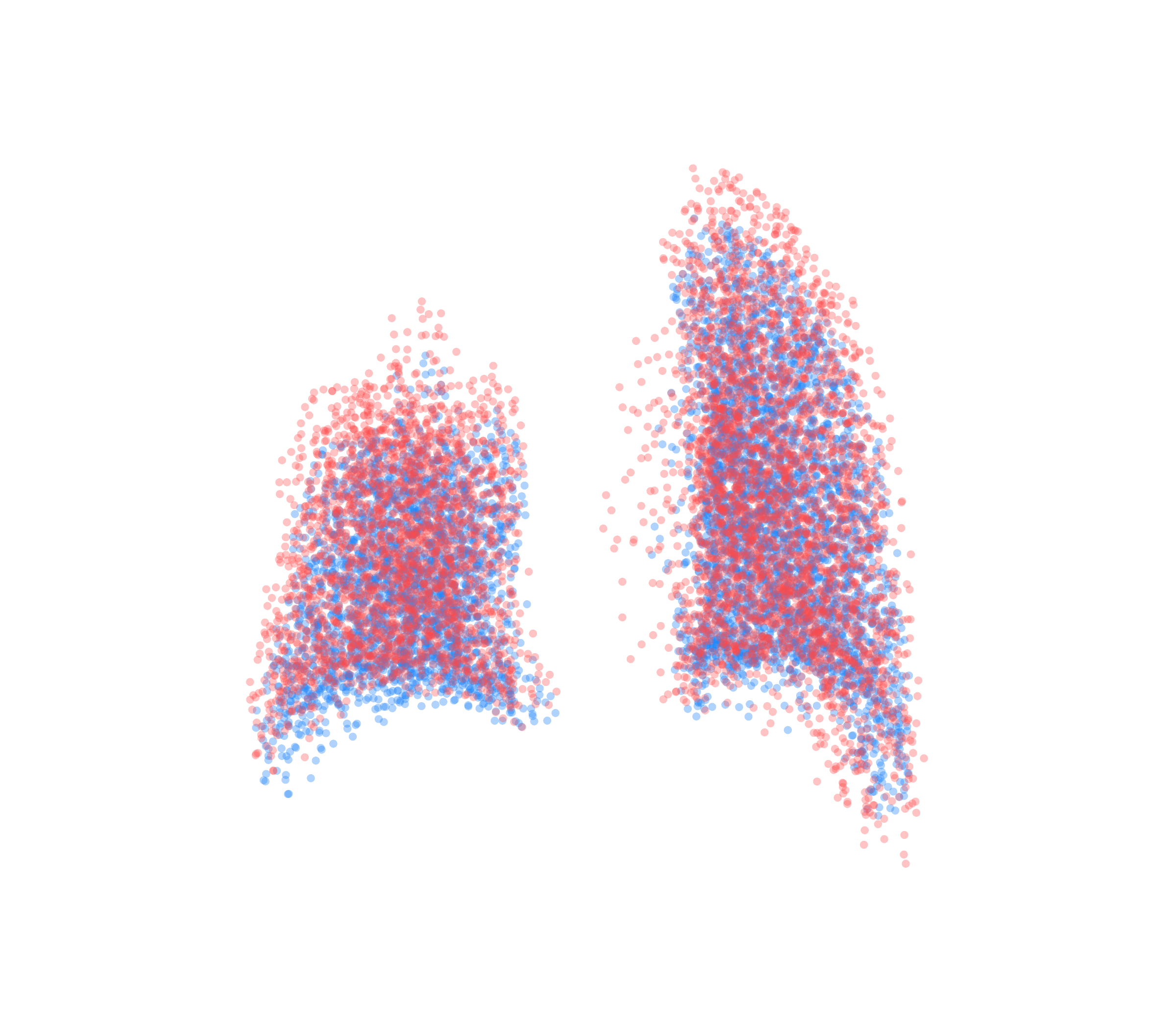 Point Cloud - Back View
