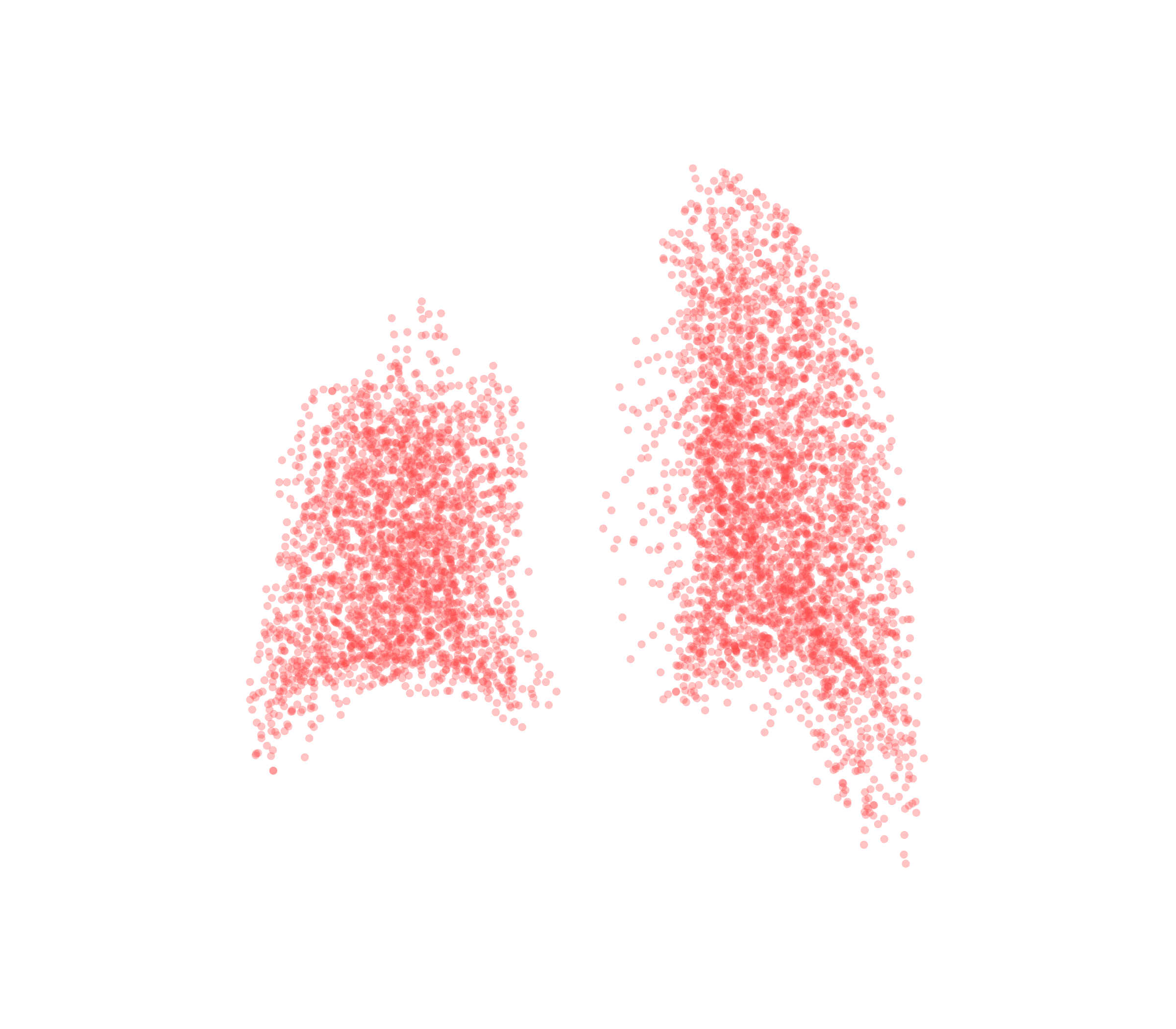 Point Cloud (Expiration) - Back View