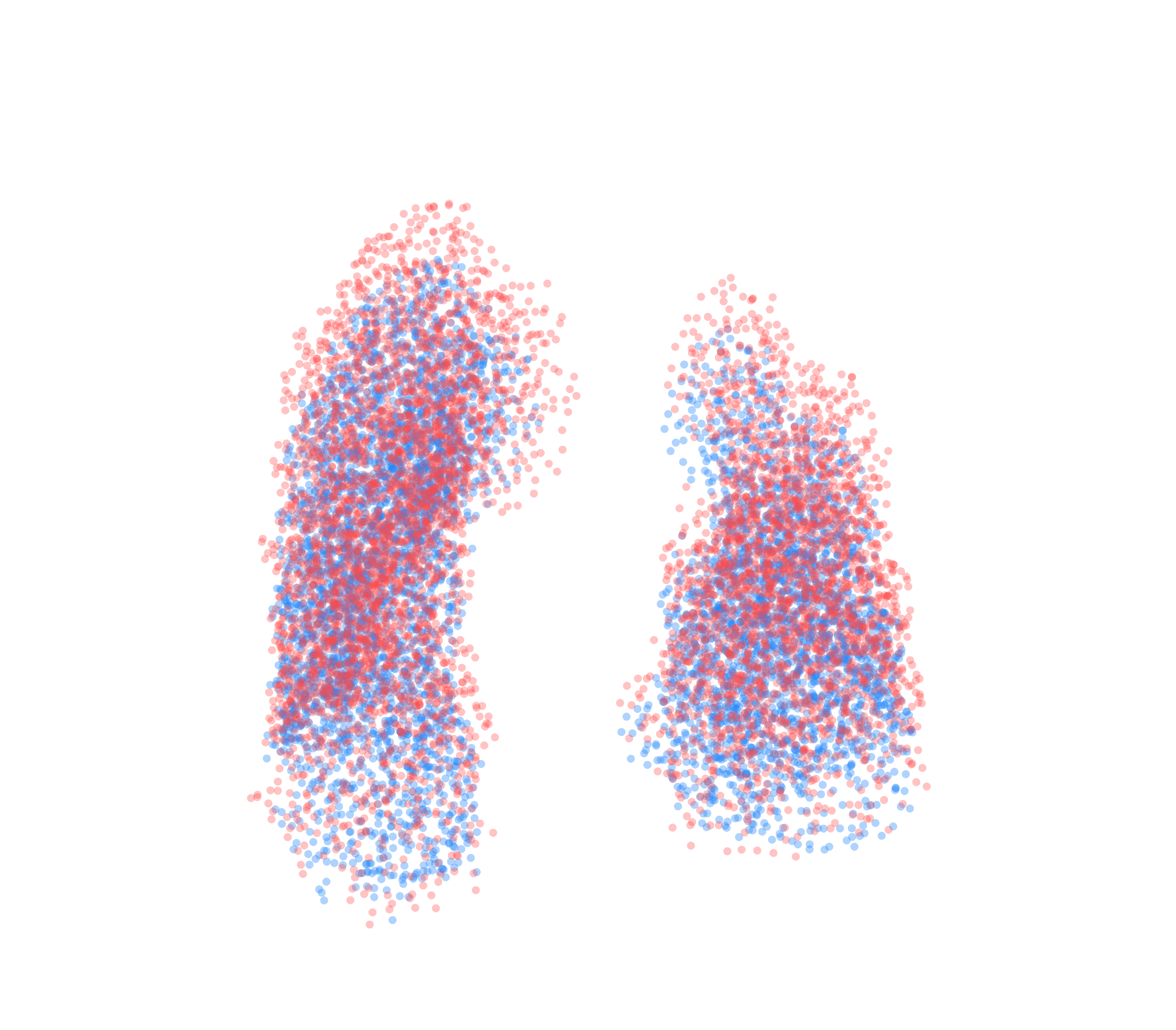Point Cloud - Front View