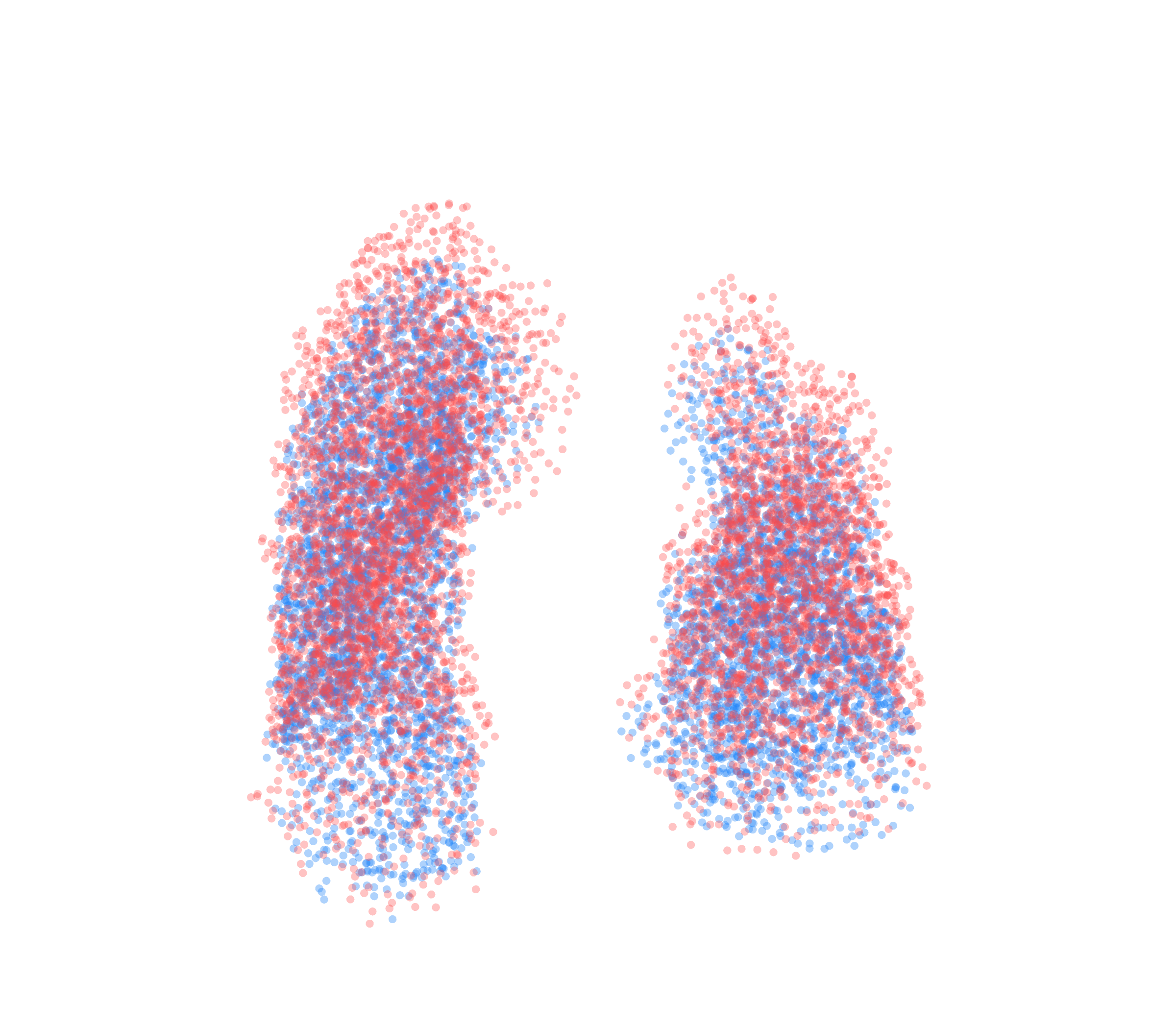 Point Cloud - Front View