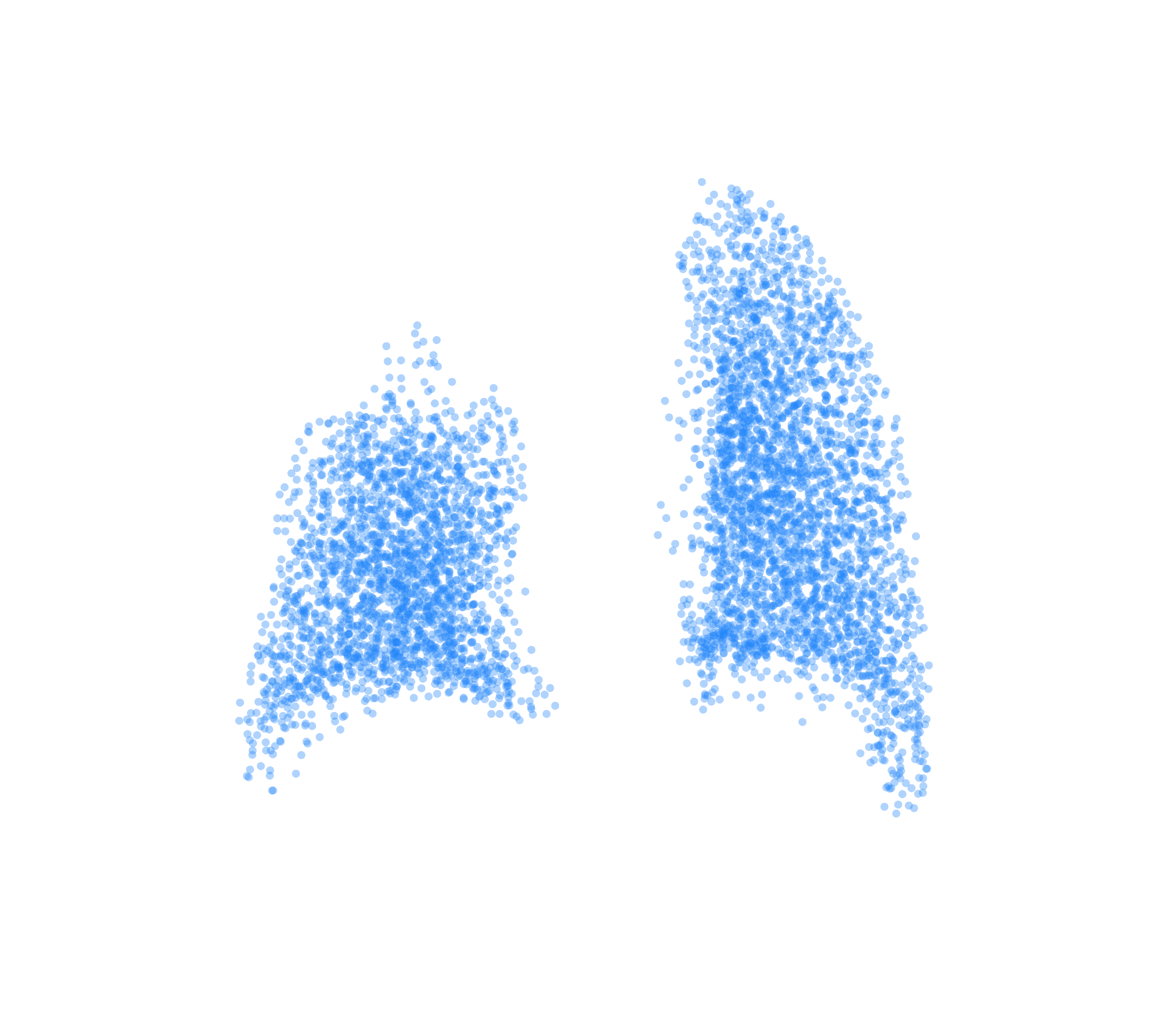 Point Cloud (Inspiration) - Back View