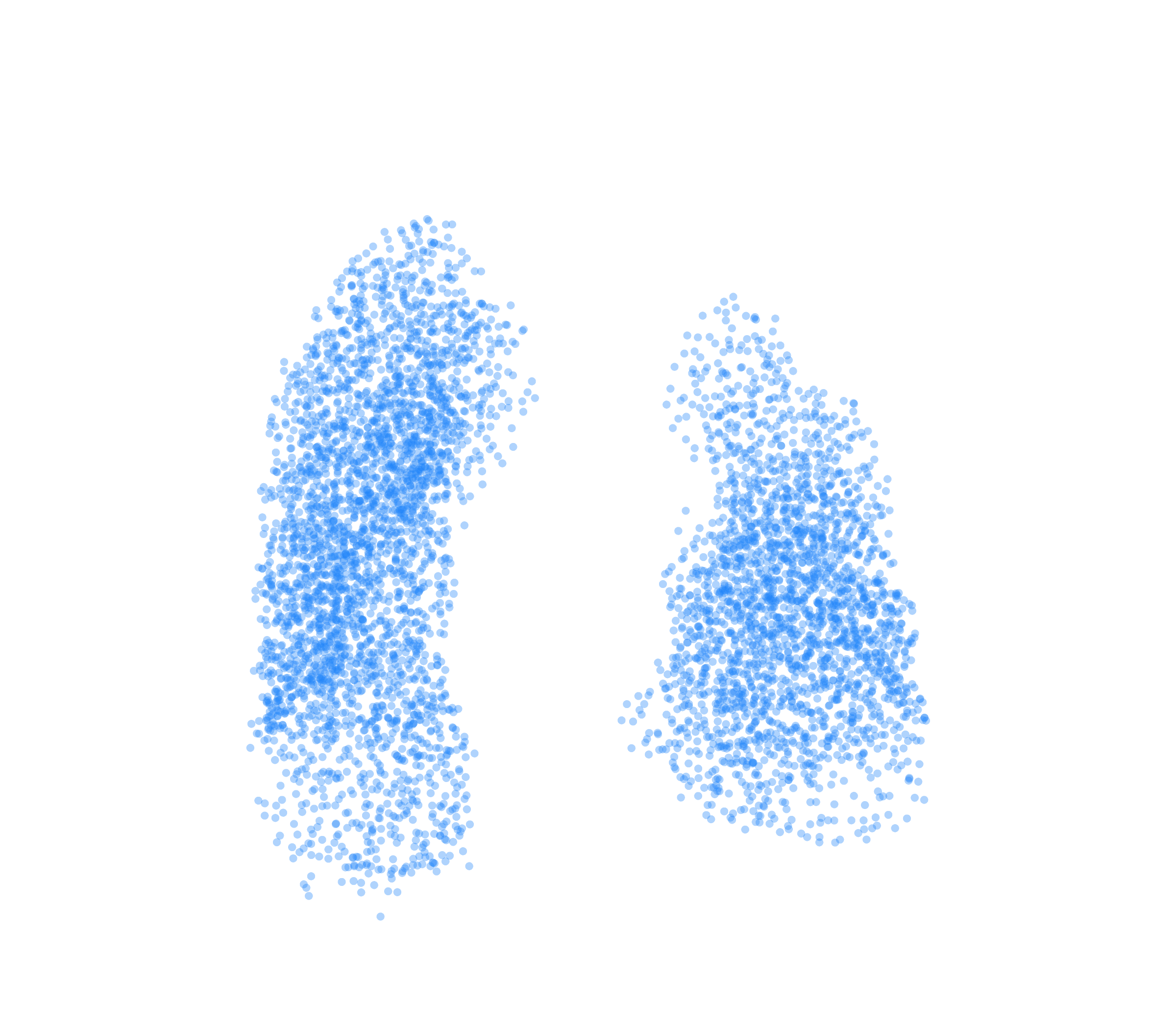 Point Cloud (Inspiration) - Front View