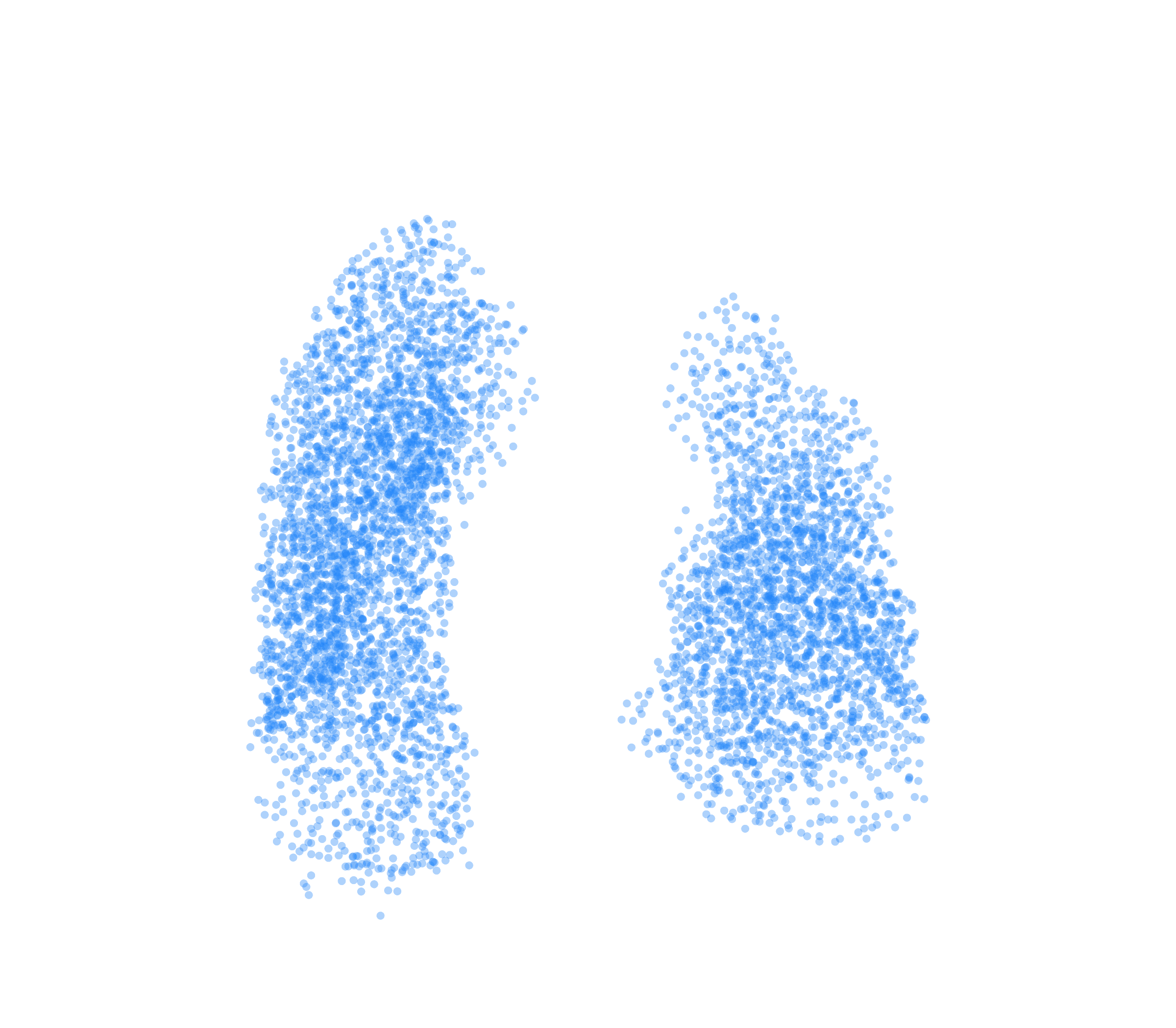 Point Cloud (Inspiration) - Front View