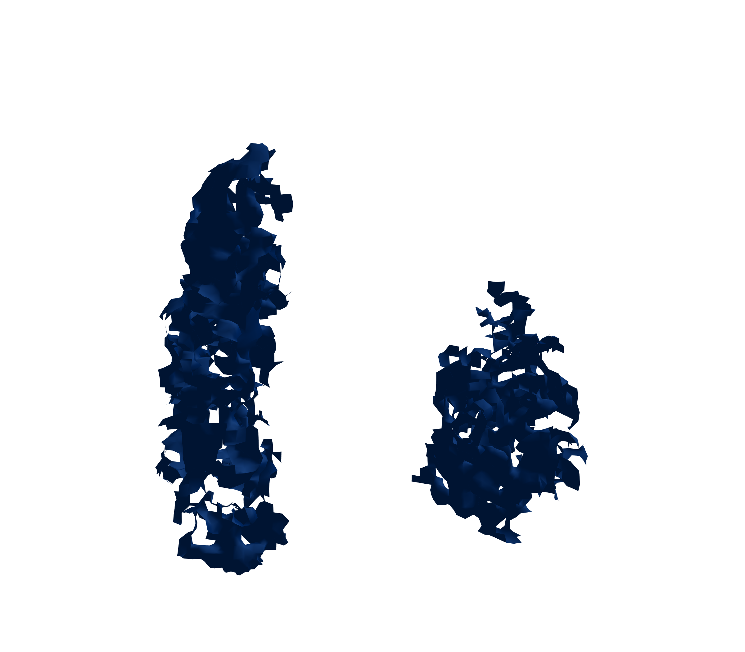 Surface Mesh (Inspiration) - Front View