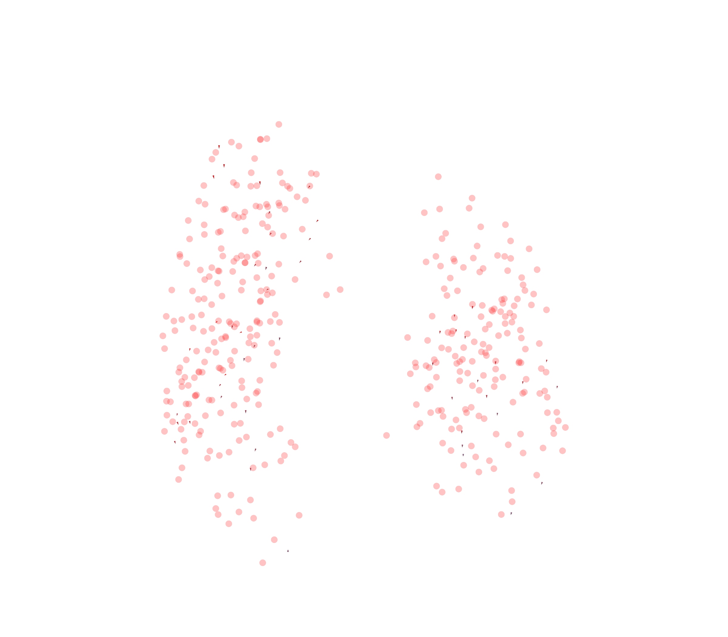 Displacement Vectors - Front View