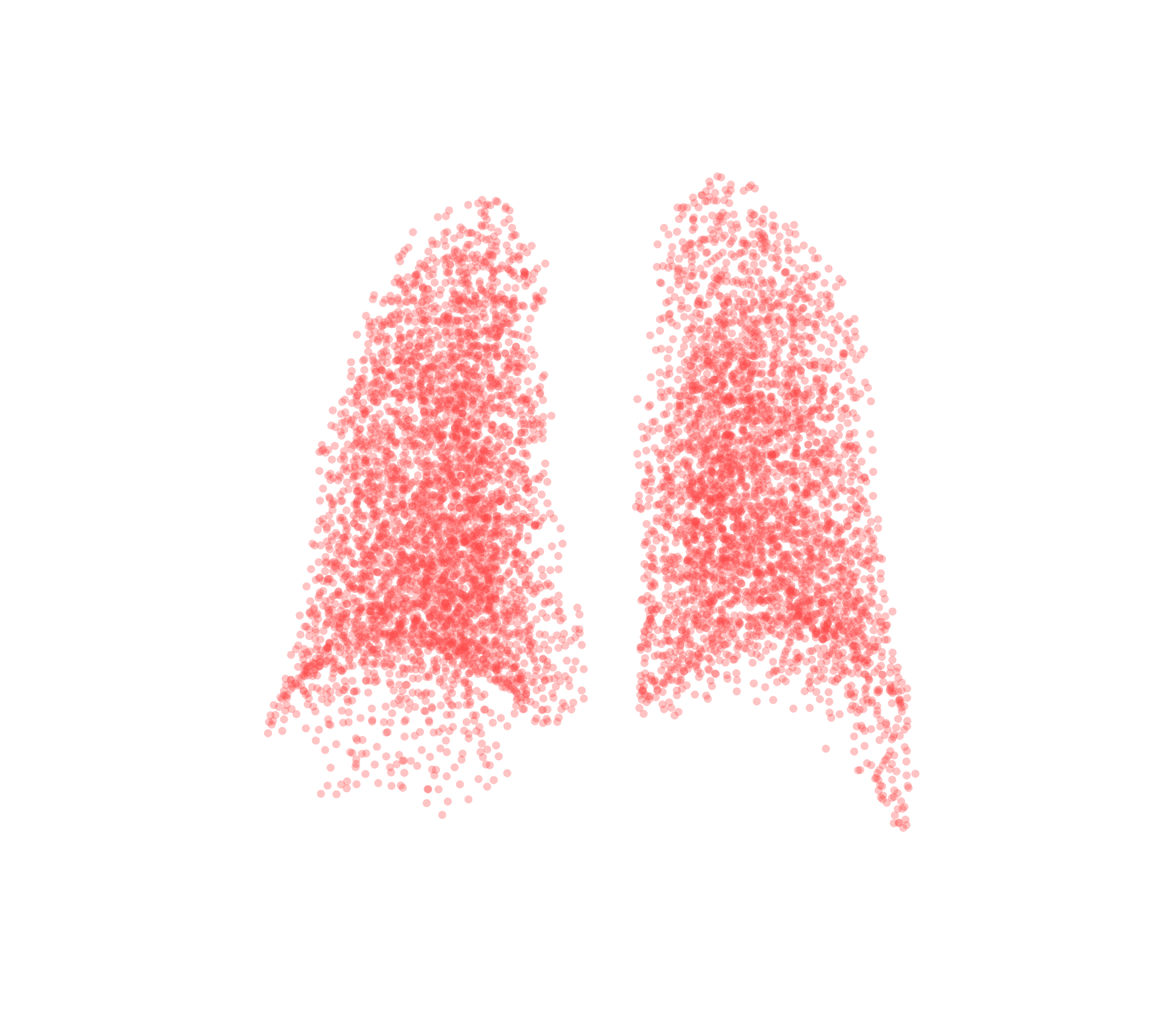 Point Cloud (Expiration) - Back View