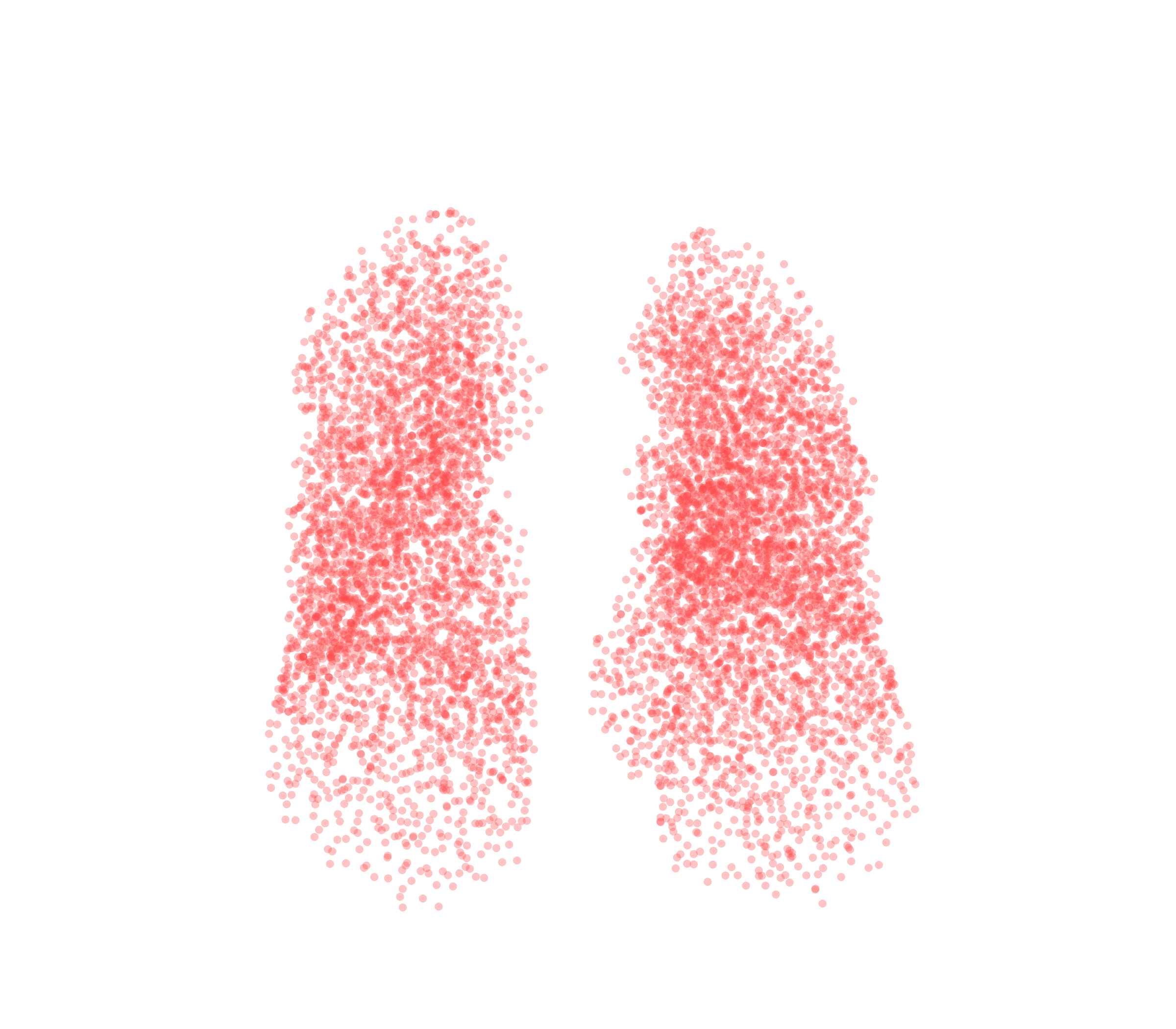 Point Cloud (Expiration) - Front View