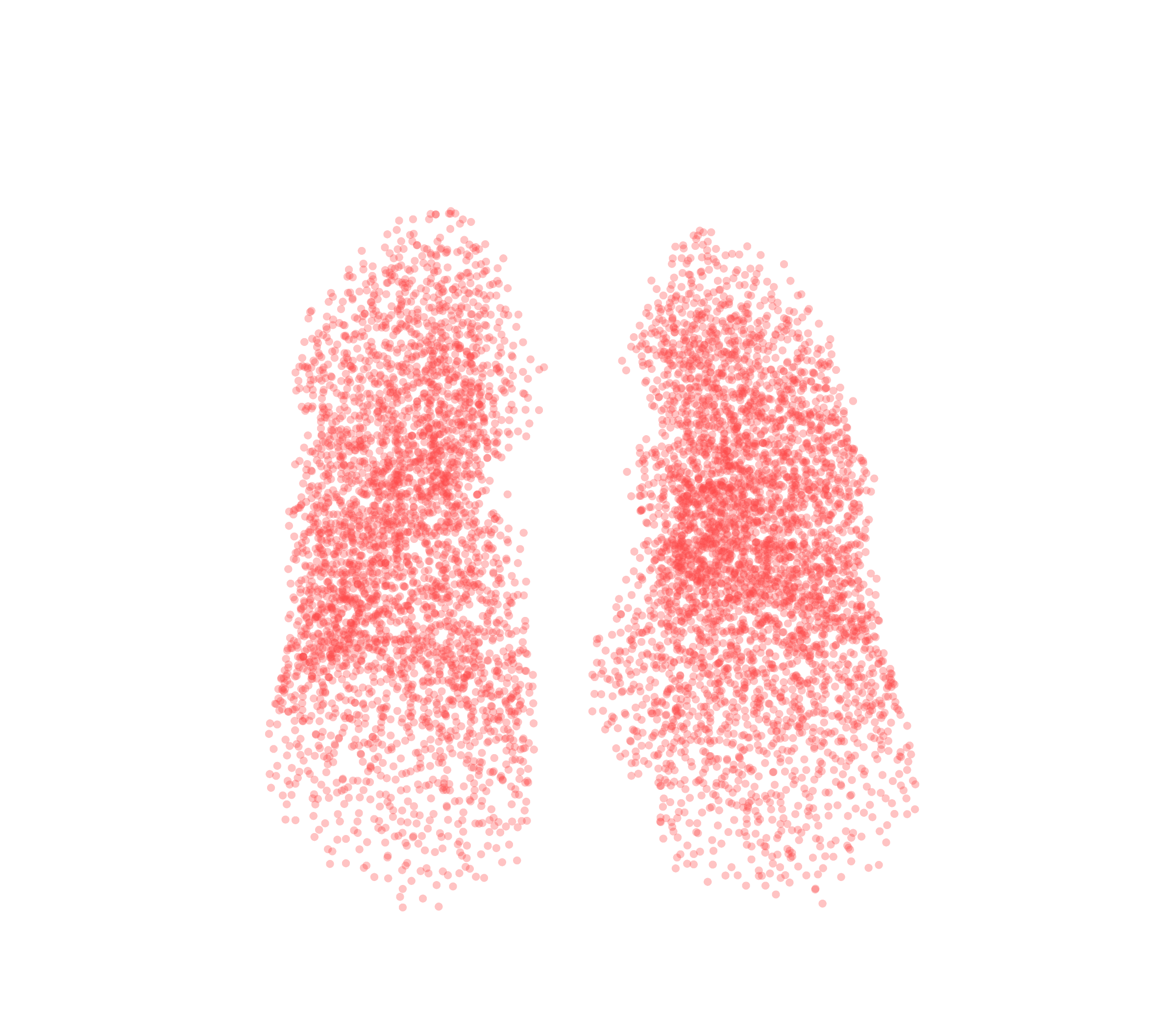 Point Cloud (Expiration) - Front View
