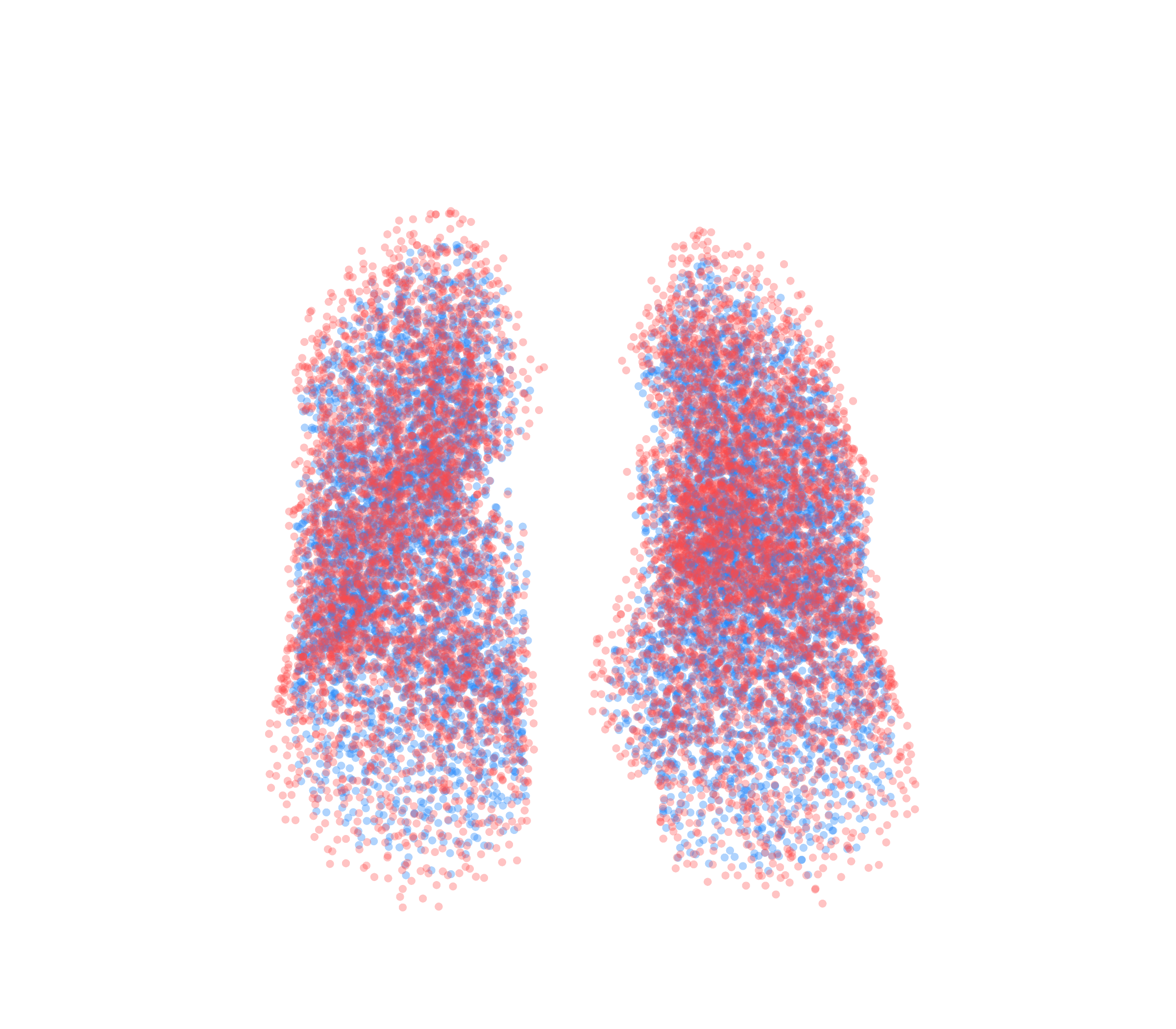 Point Cloud - Front View