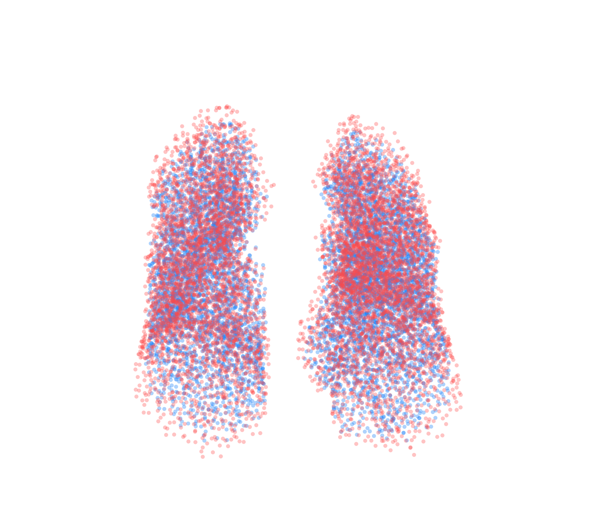 Point Cloud - Front View