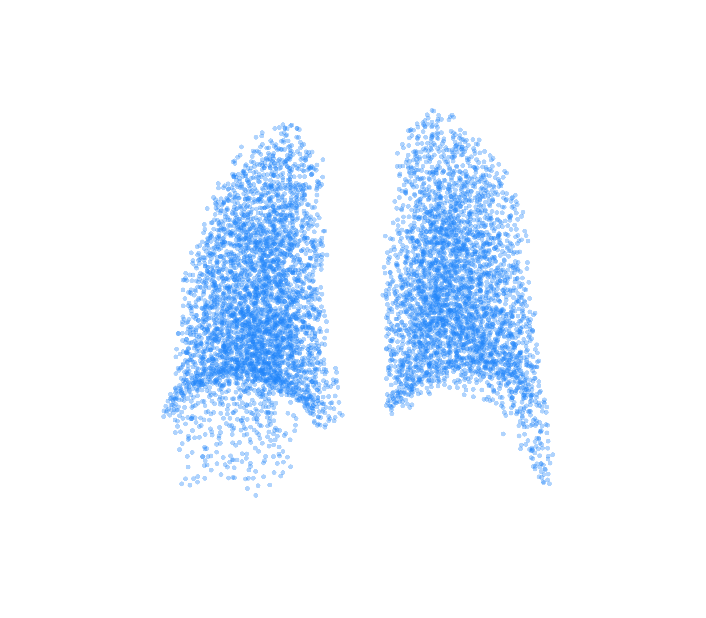 Point Cloud (Inspiration) - Back View