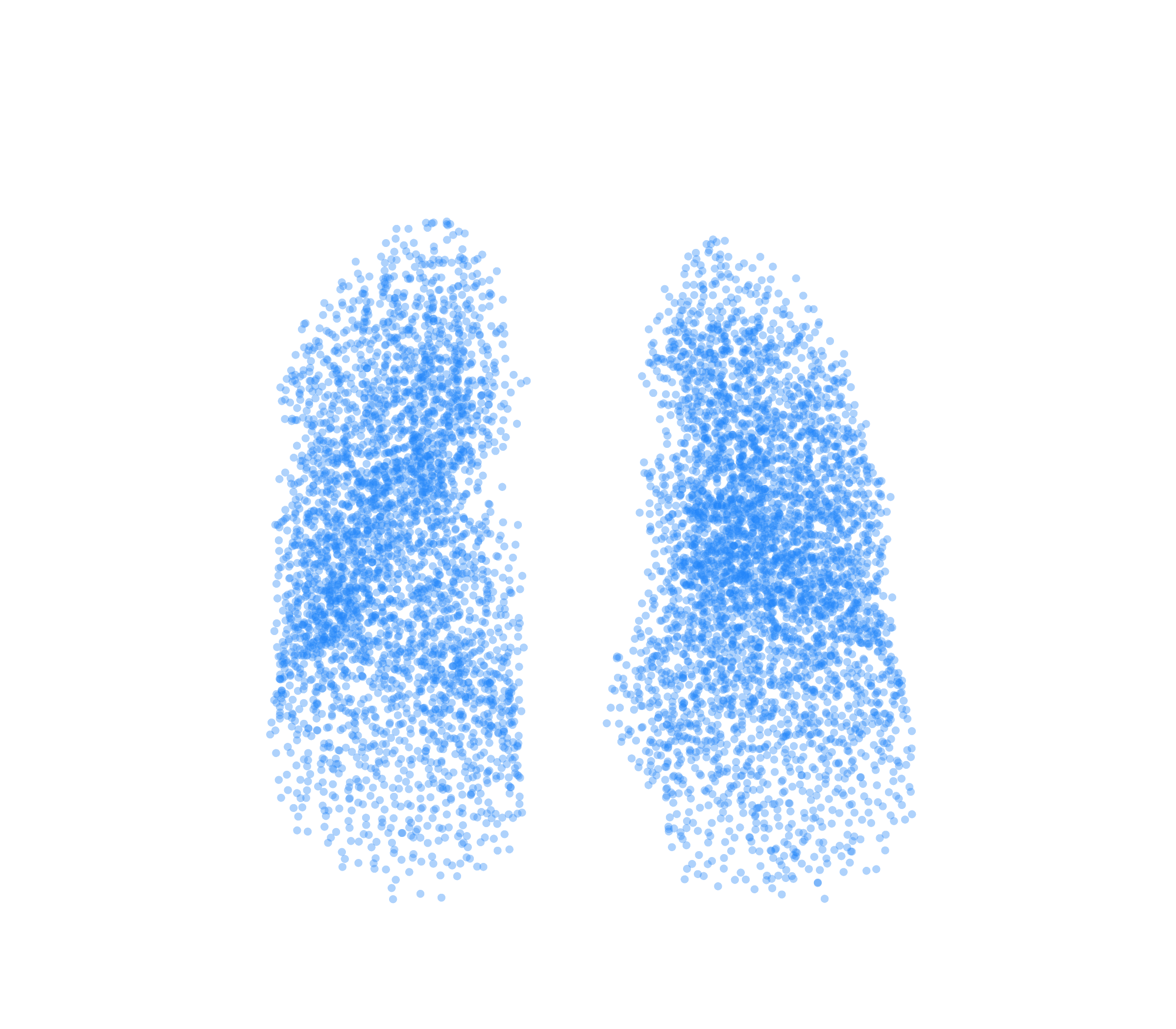 Point Cloud (Inspiration) - Front View