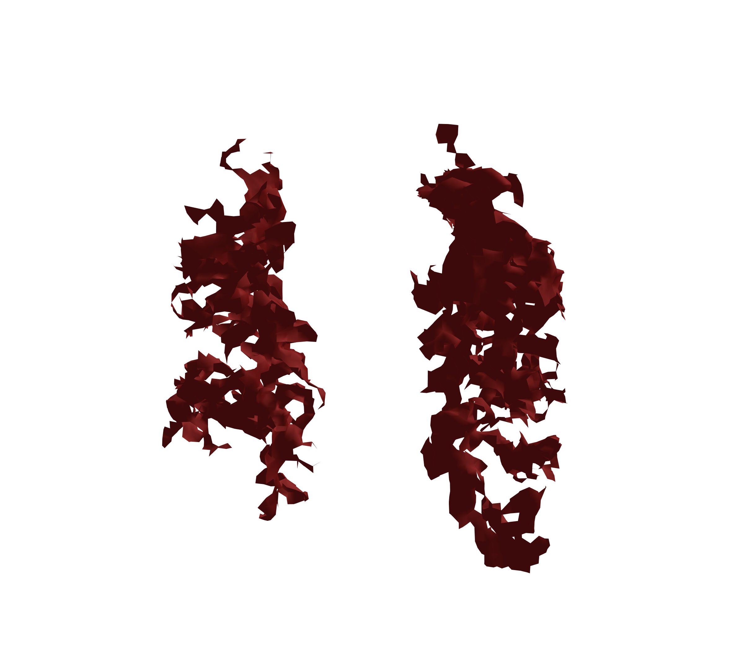 Surface Mesh (Expiration) - Front View