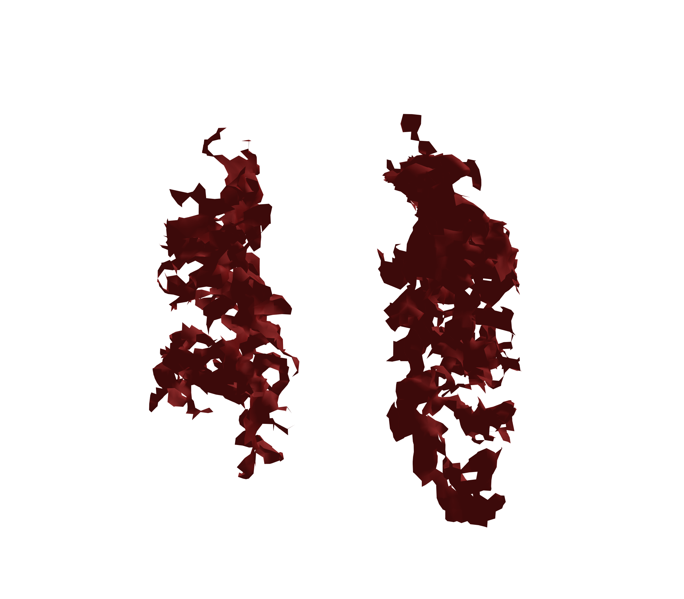 Surface Mesh (Expiration) - Front View