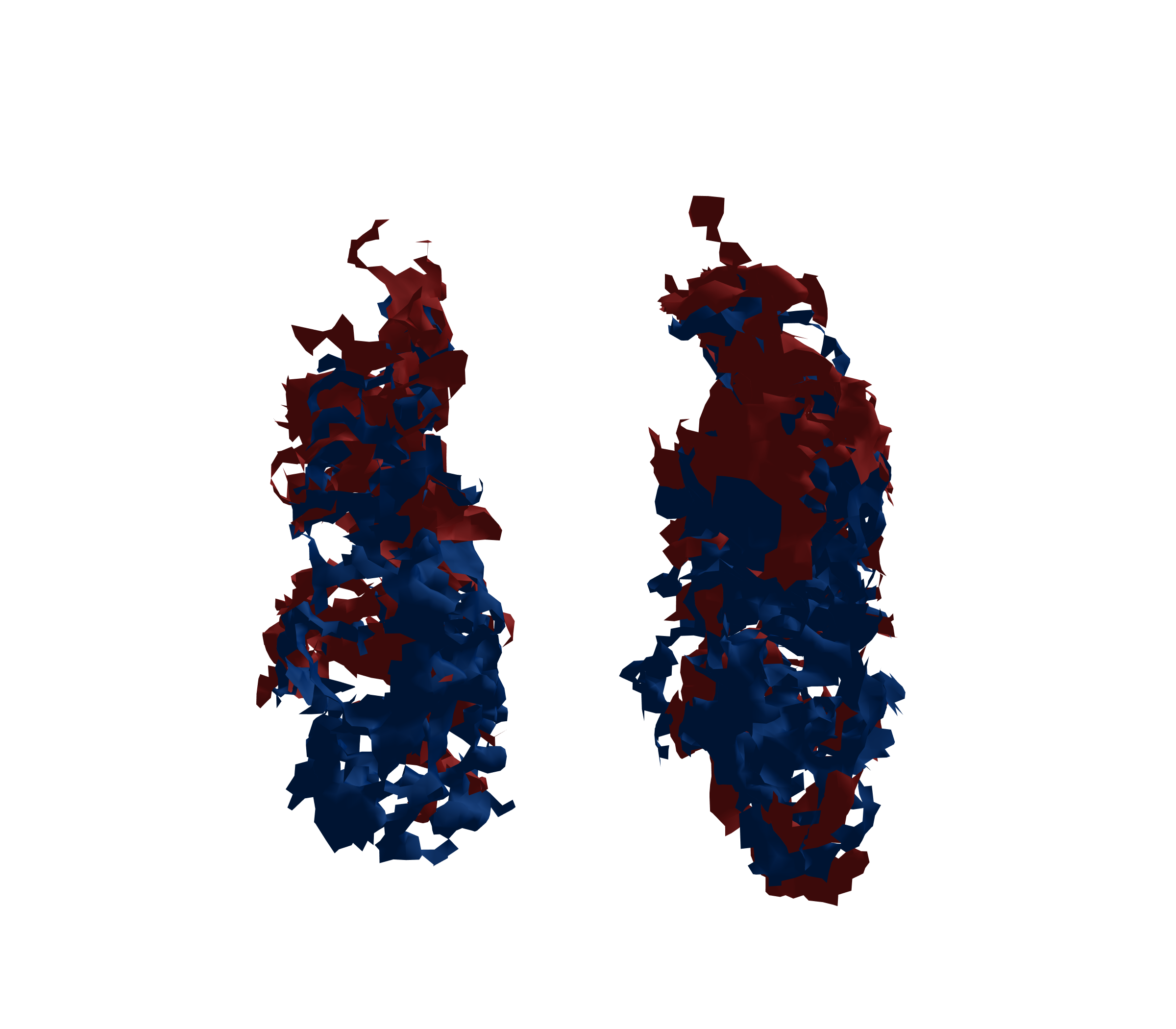 Surface Mesh - Front View