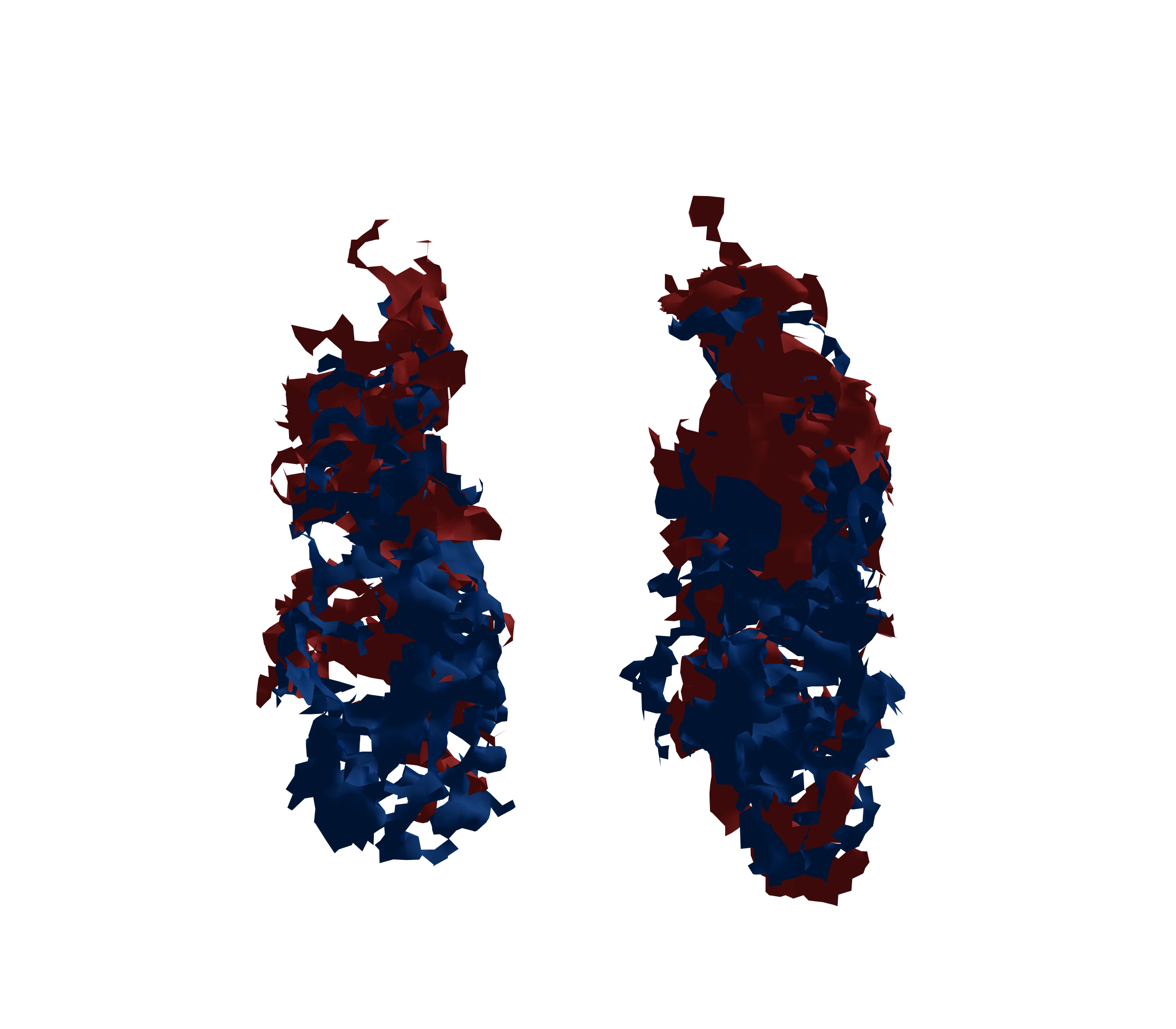 Surface Mesh - Front View