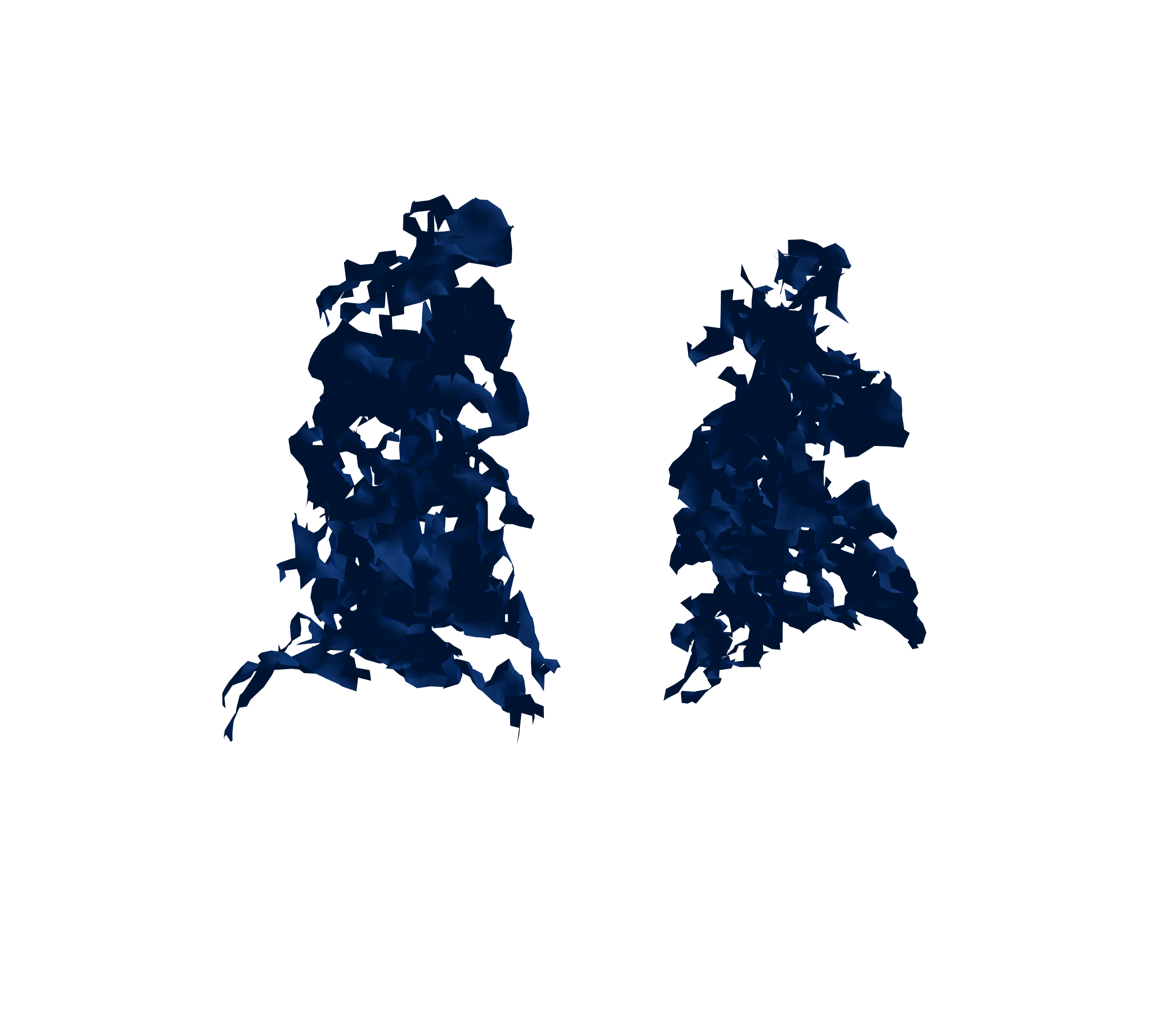 Surface Mesh (Inspiration) - Back View