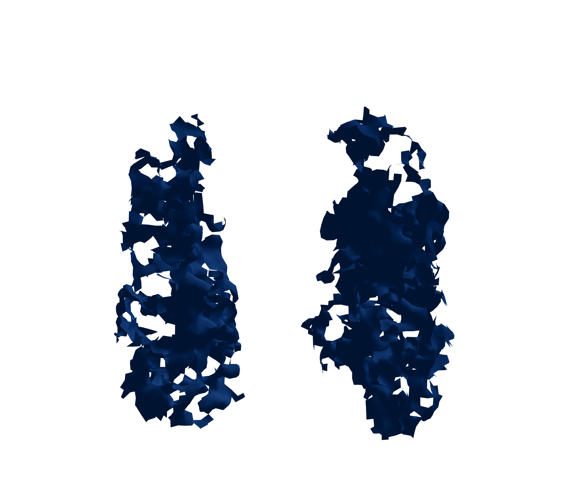 Surface Mesh (Inspiration) - Front View