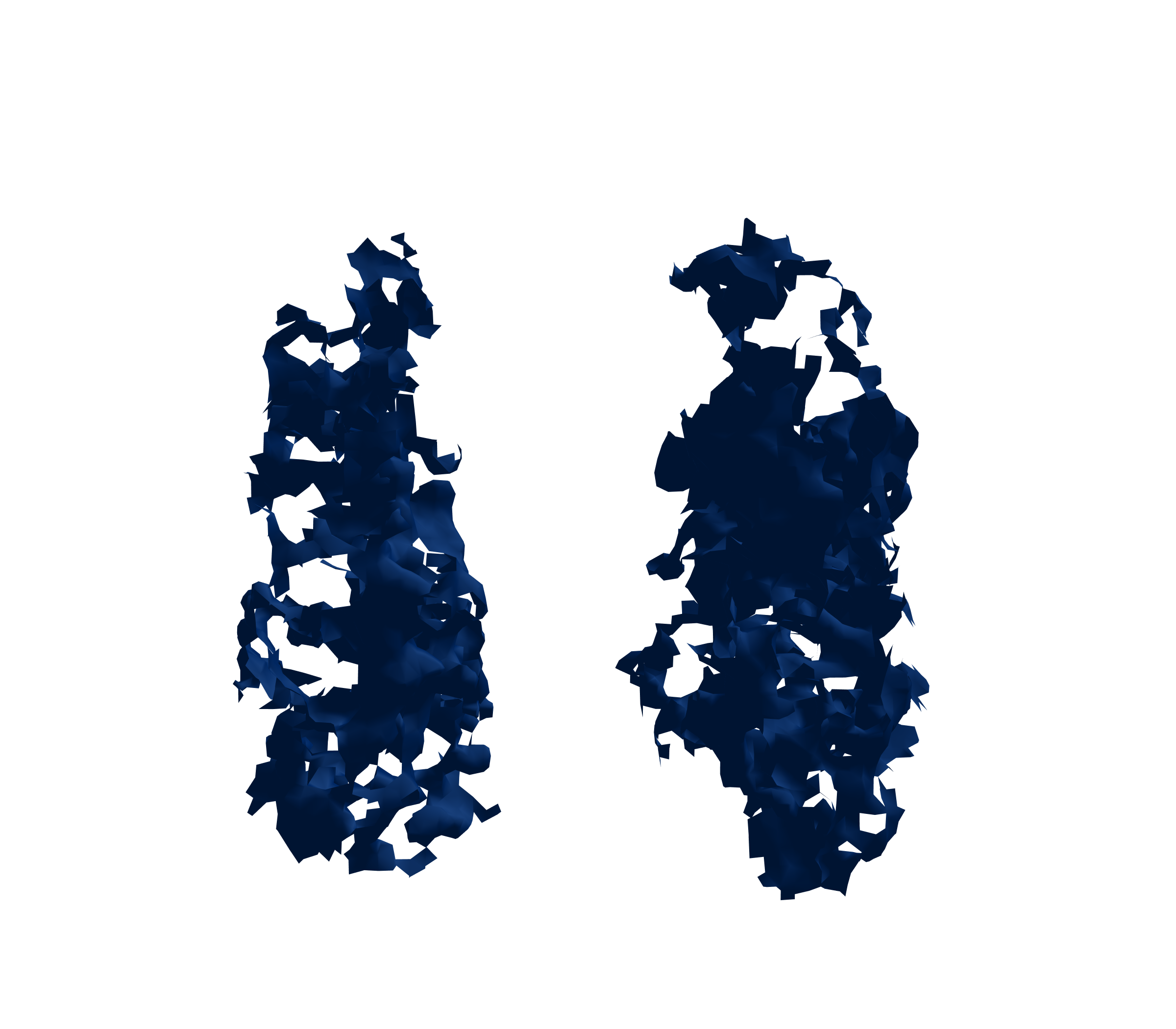 Surface Mesh (Inspiration) - Front View