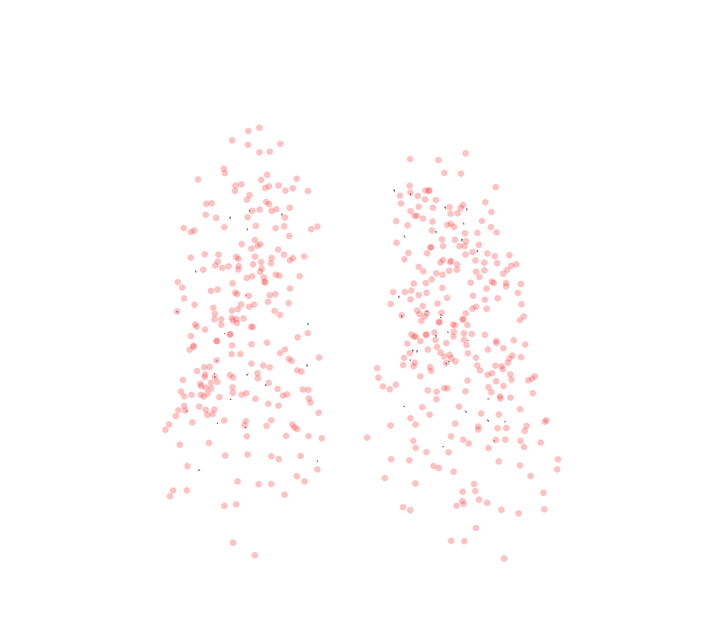 Displacement Vectors - Front View