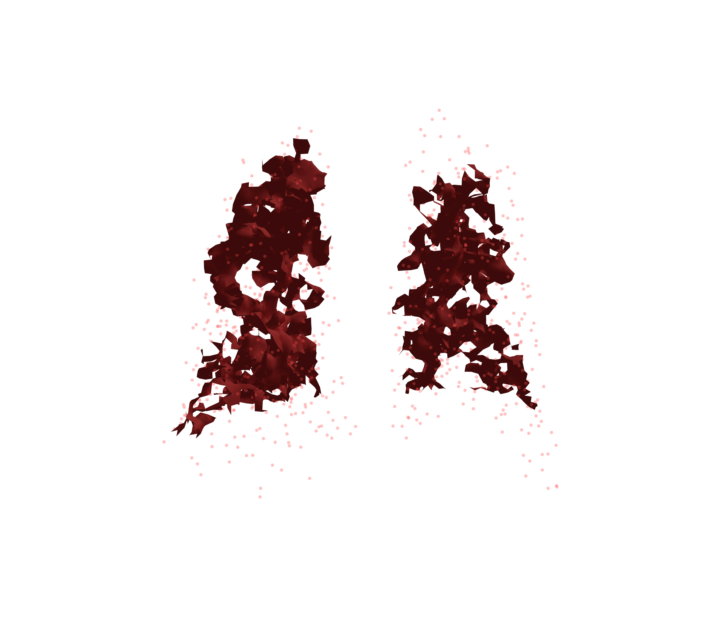 Combined Visualization (Expiration) - Back View