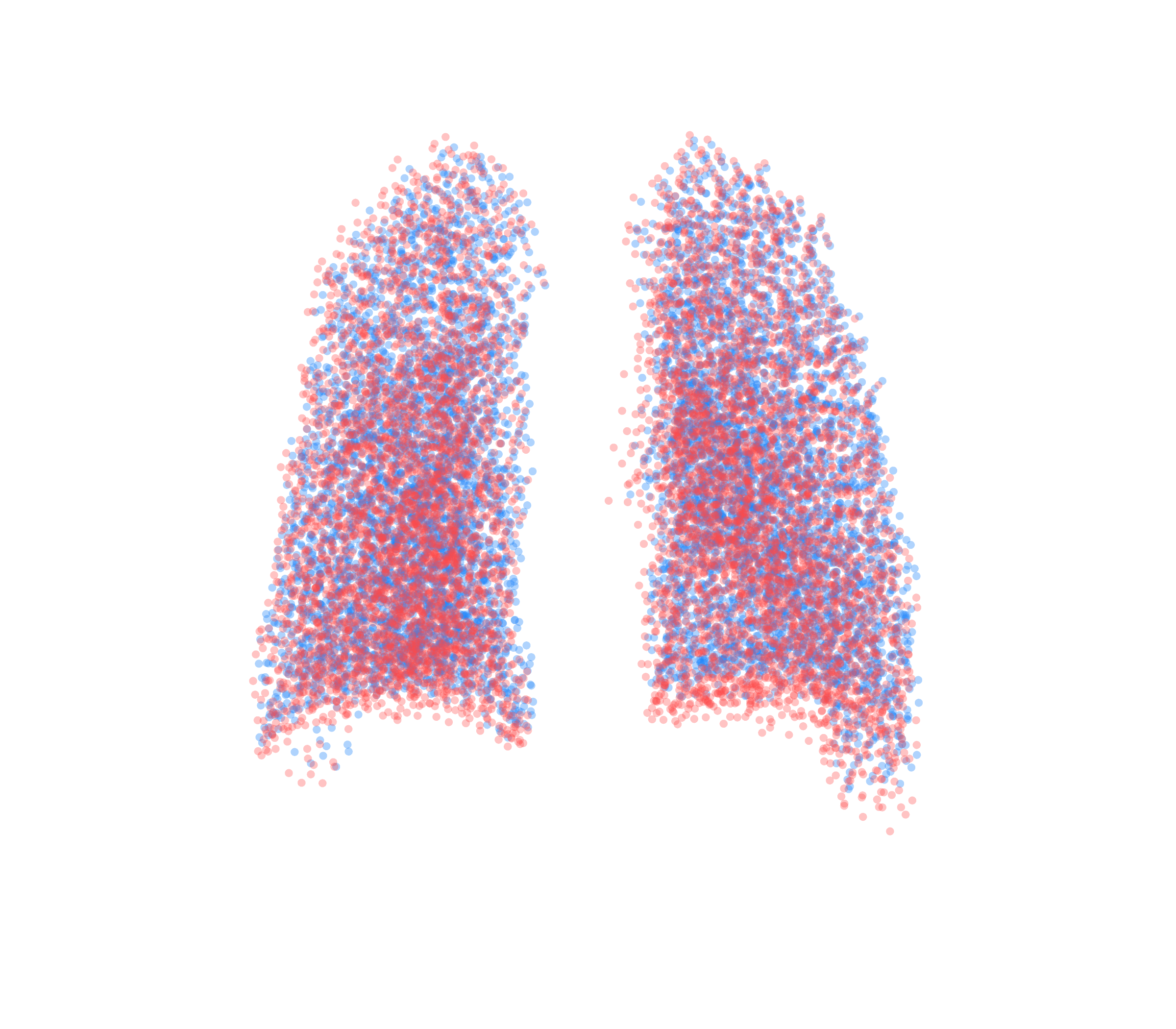Point Cloud - Back View