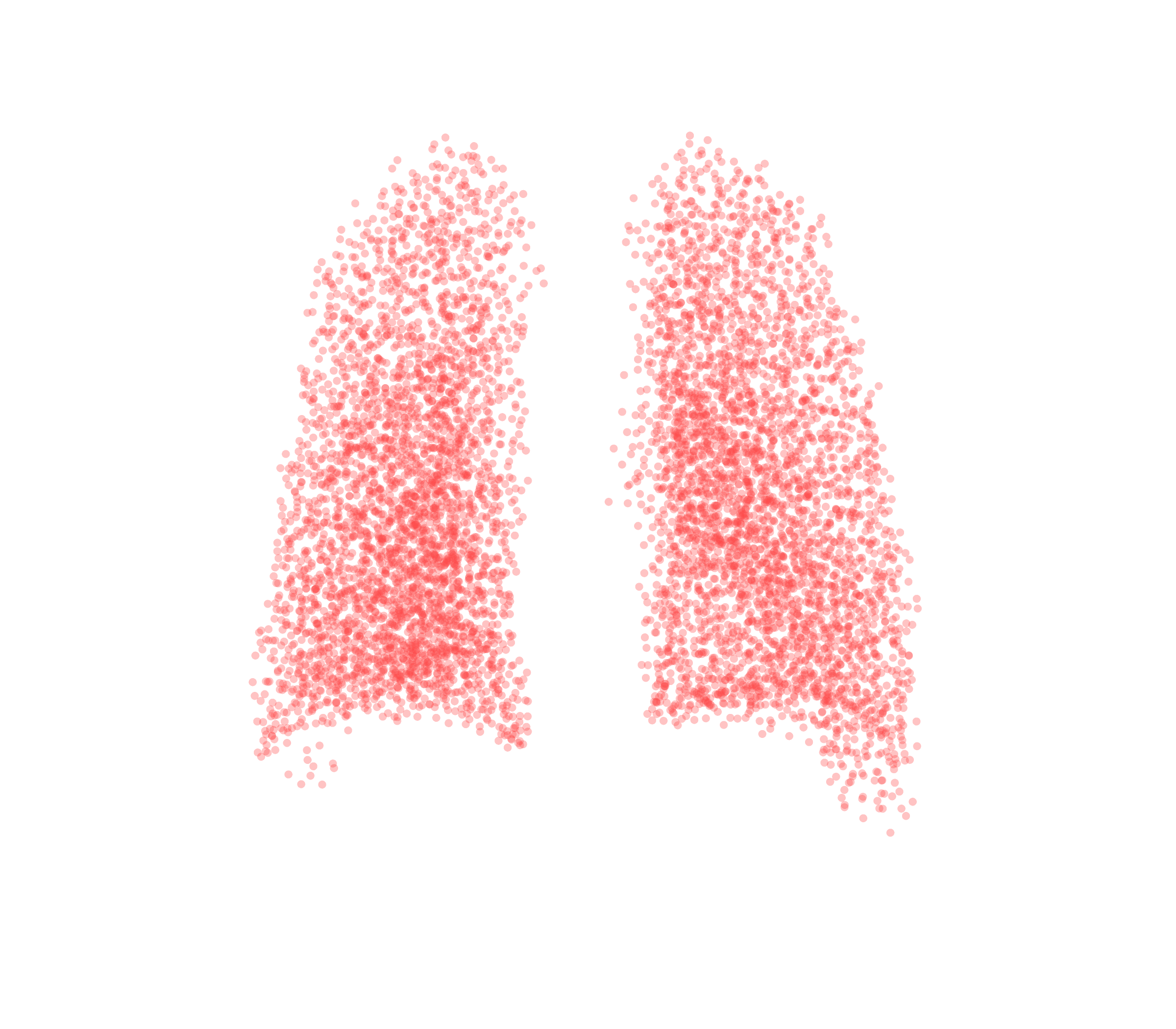 Point Cloud (Expiration) - Back View