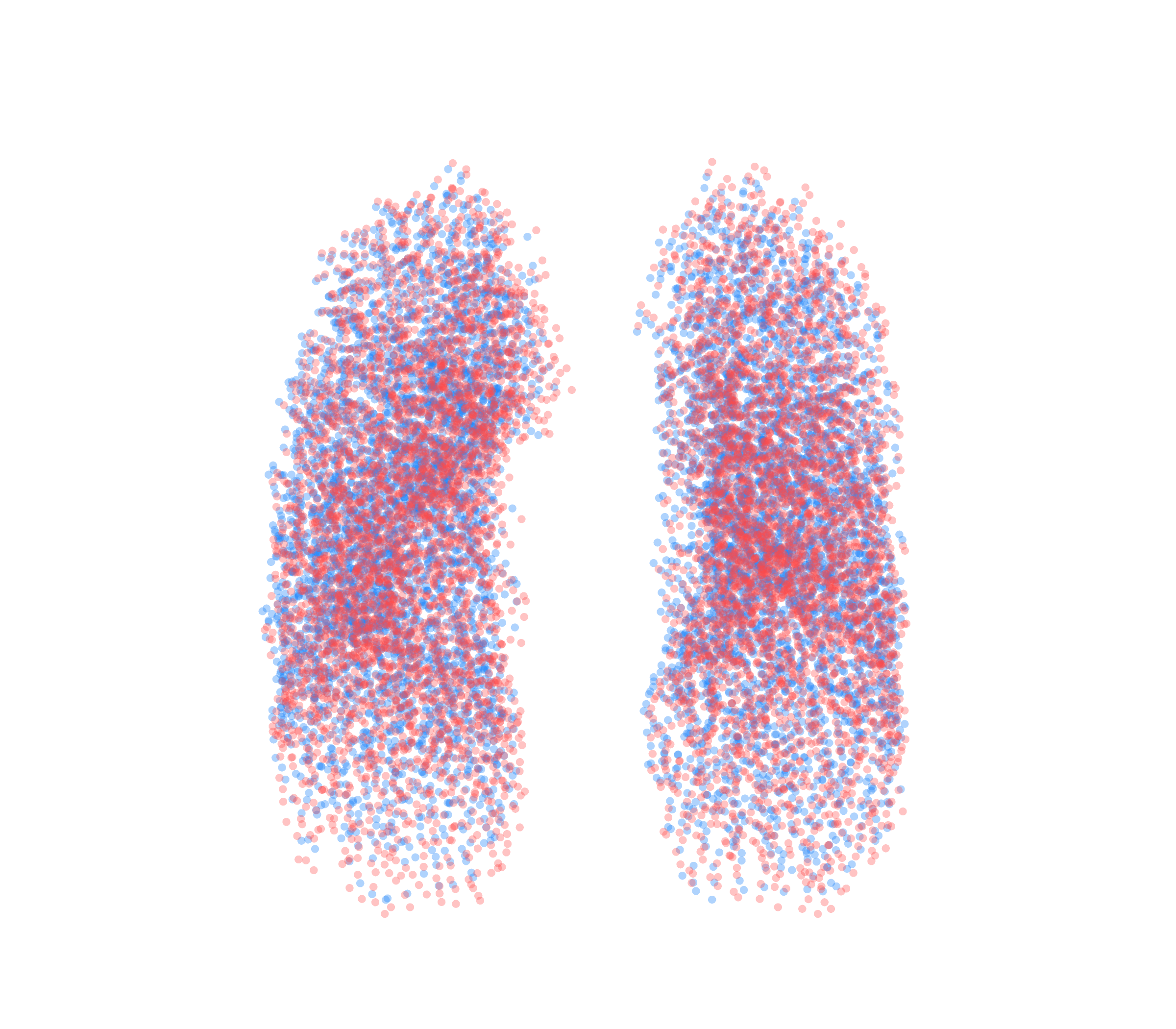 Point Cloud - Front View