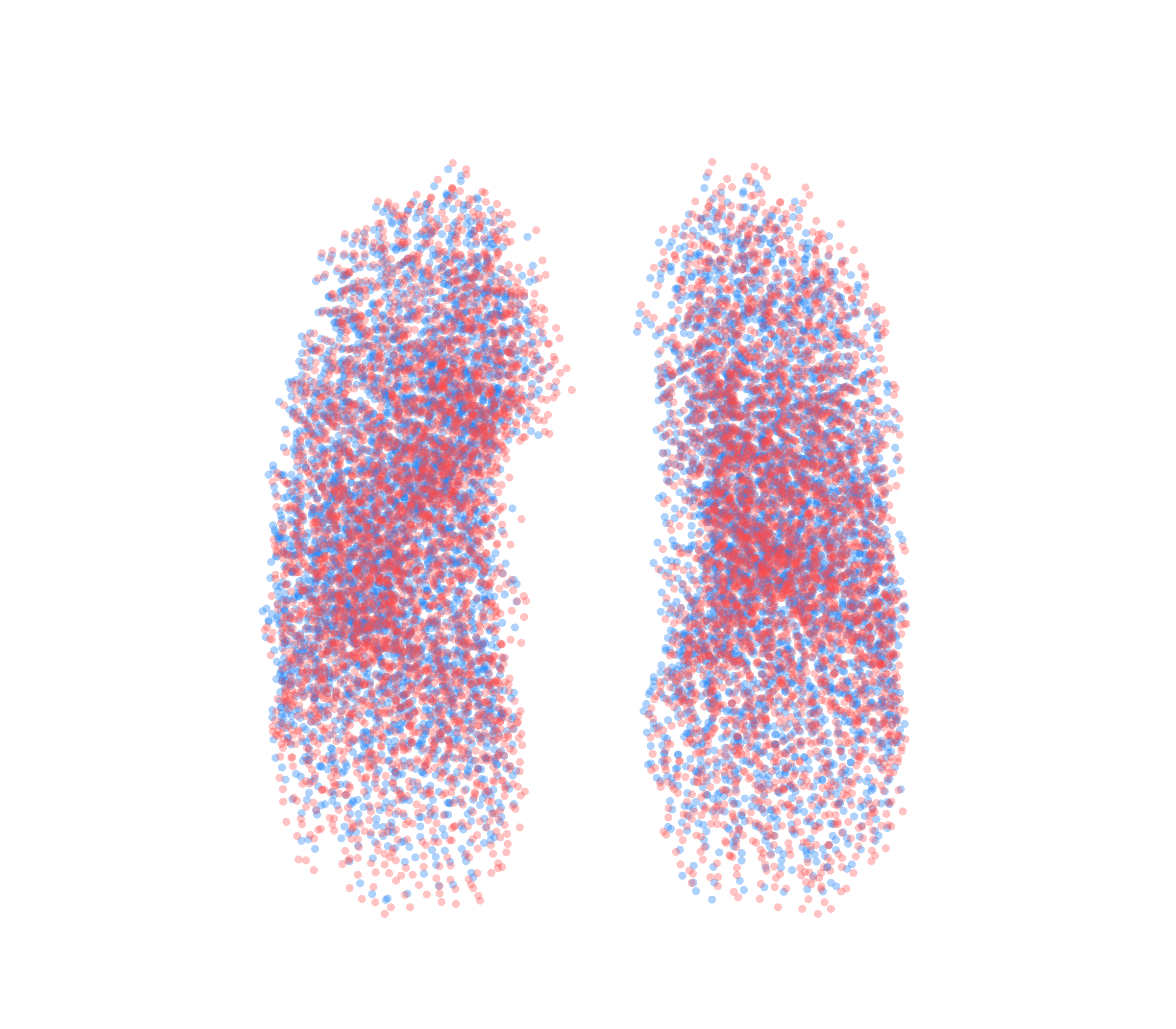 Point Cloud - Front View